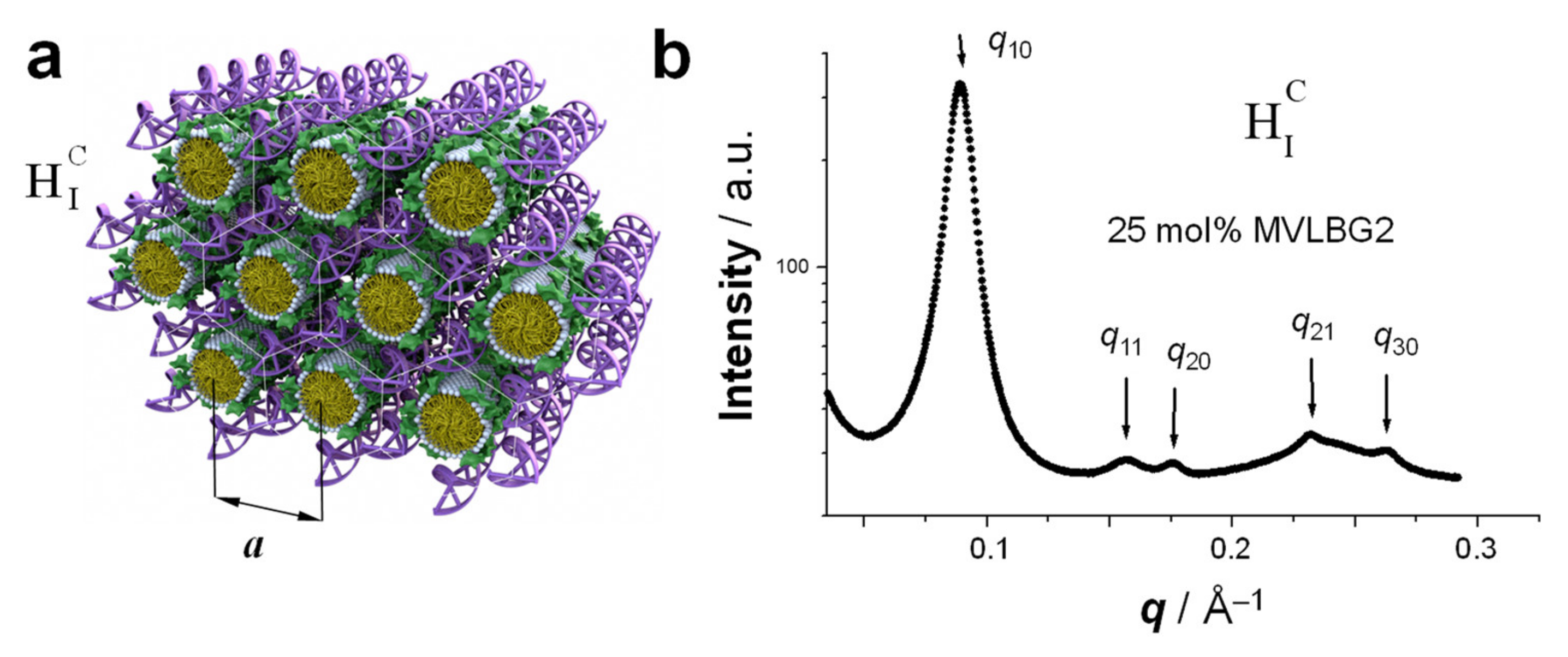 Pharmaceutics 13 01365 g009