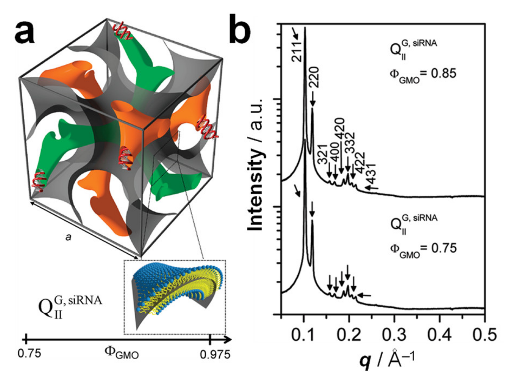 Pharmaceutics 13 01365 g010