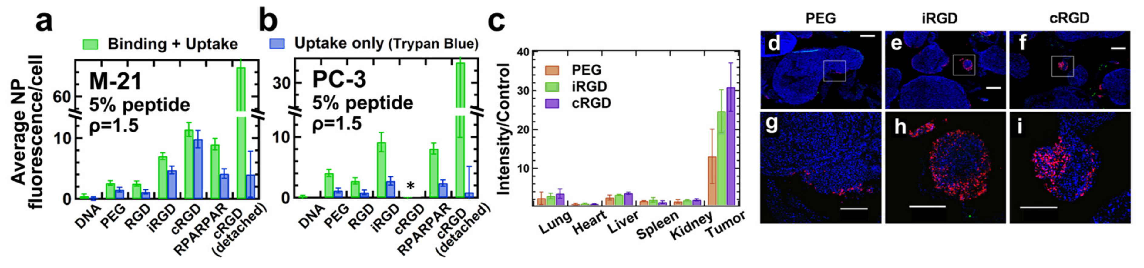 Pharmaceutics 13 01365 g016