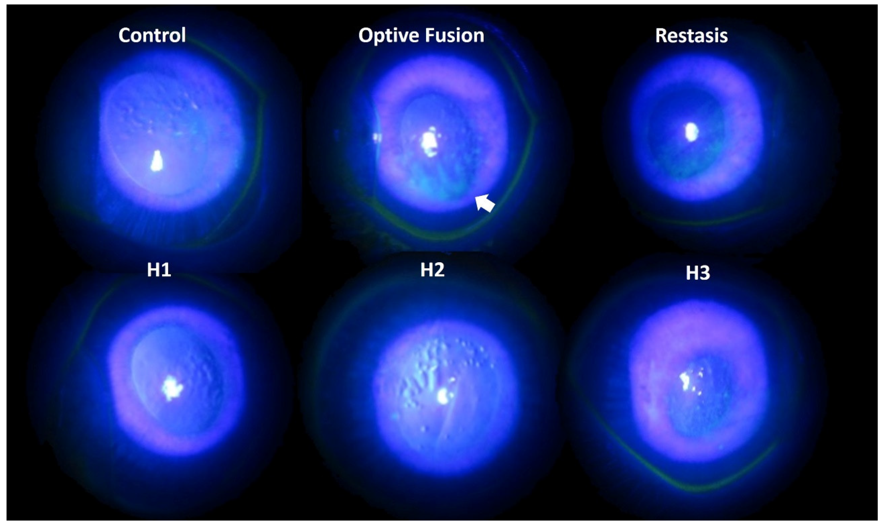 Pharmaceutics 13 01366 g003