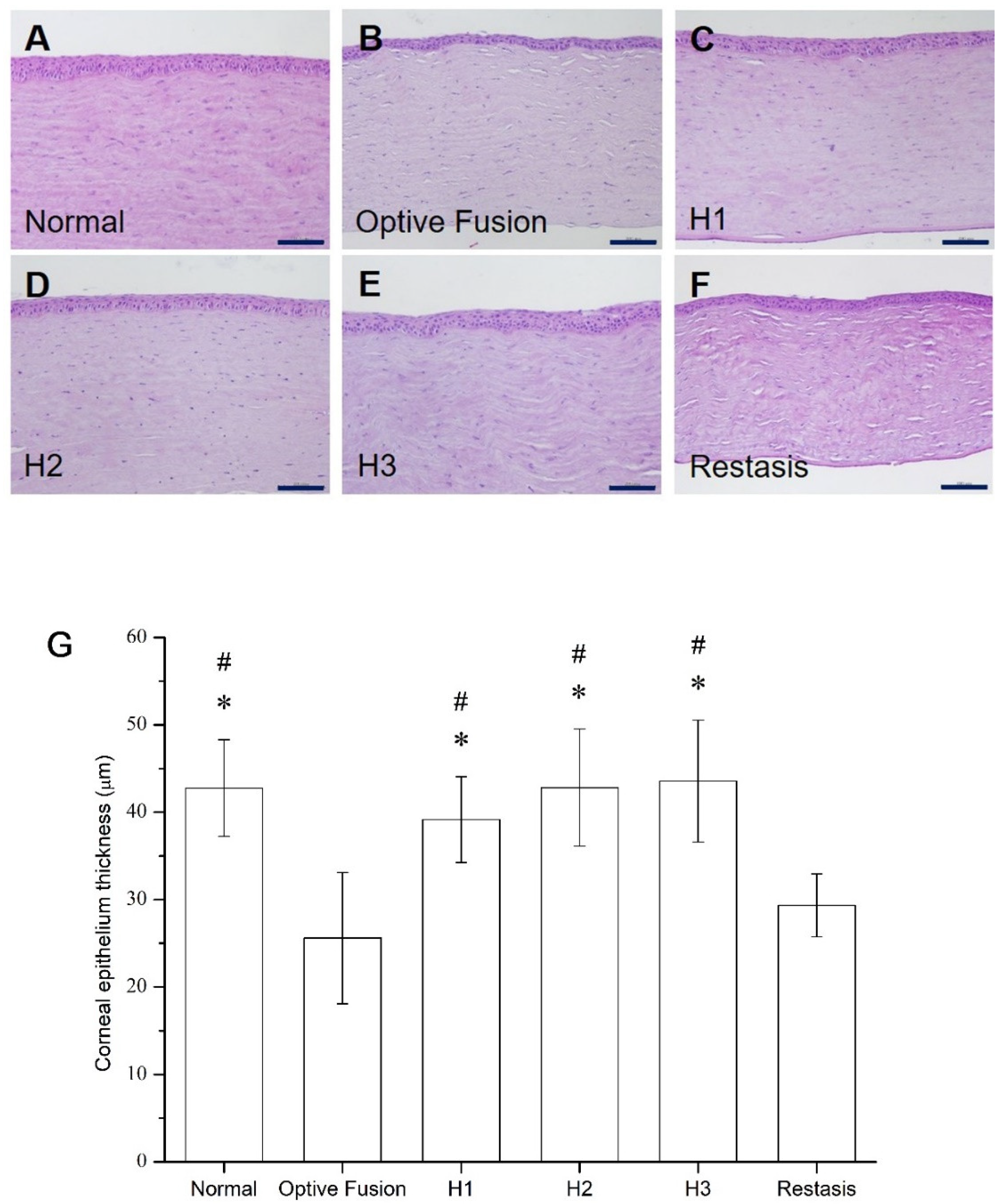 Pharmaceutics 13 01366 g006