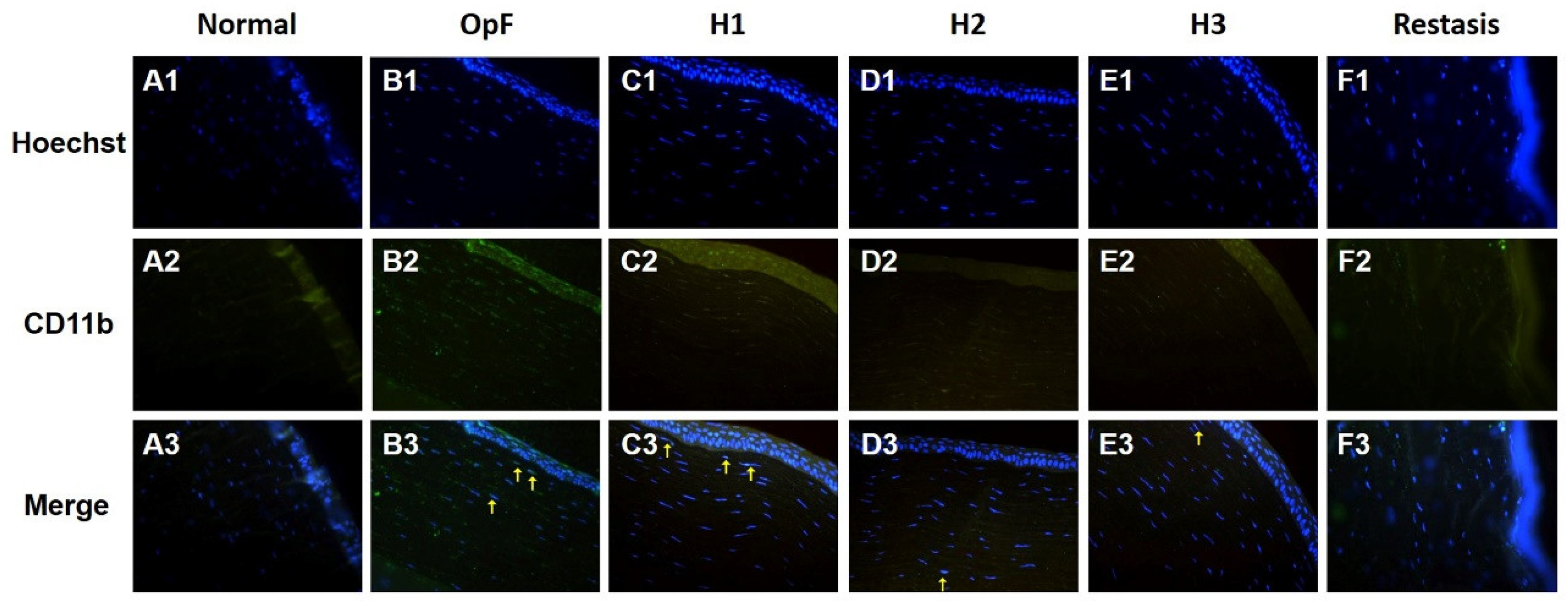 Pharmaceutics 13 01366 g007