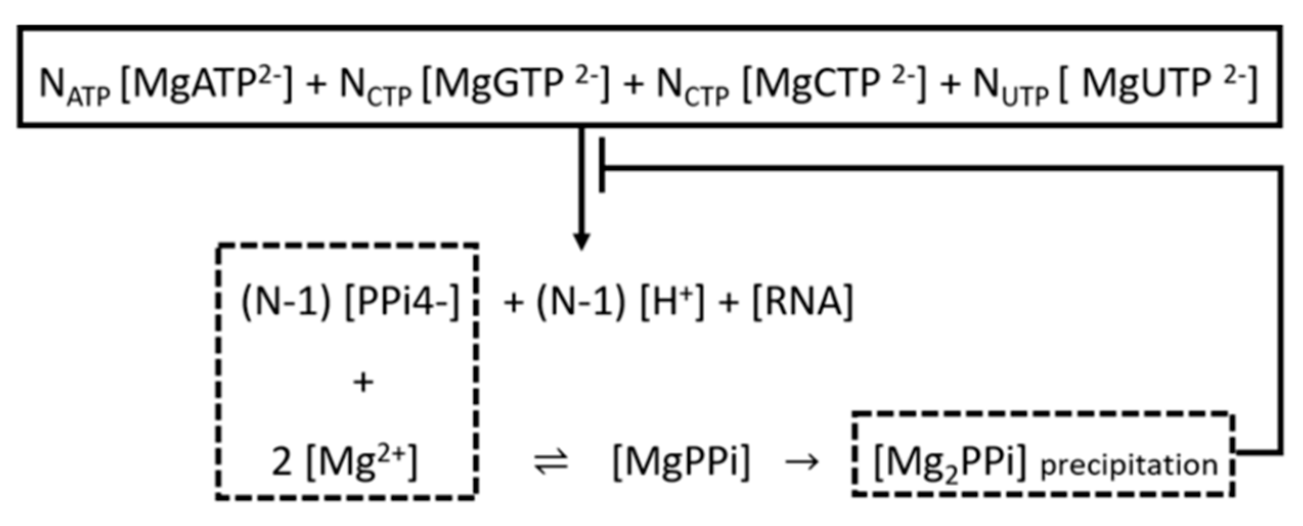 Pharmaceutics 13 01371 g005 Pharmaceutics 13 01371 g005