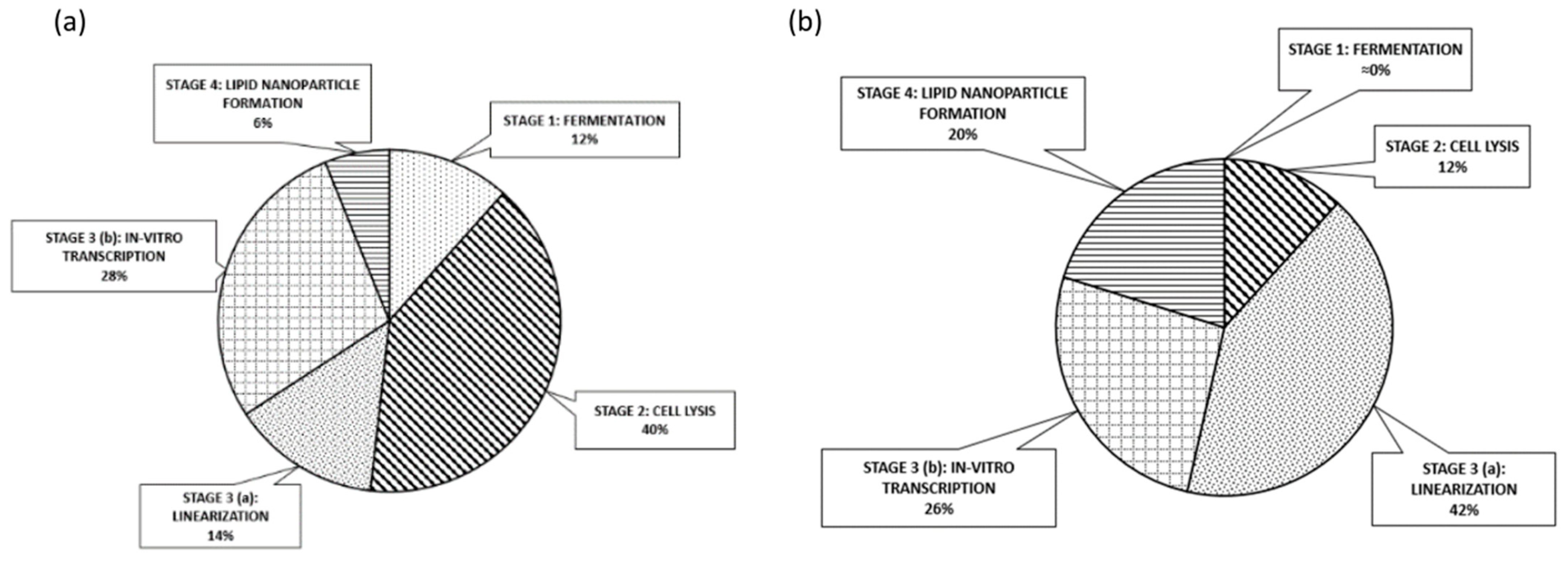 Pharmaceutics 13 01371 g010 Pharmaceutics 13 01371 g010