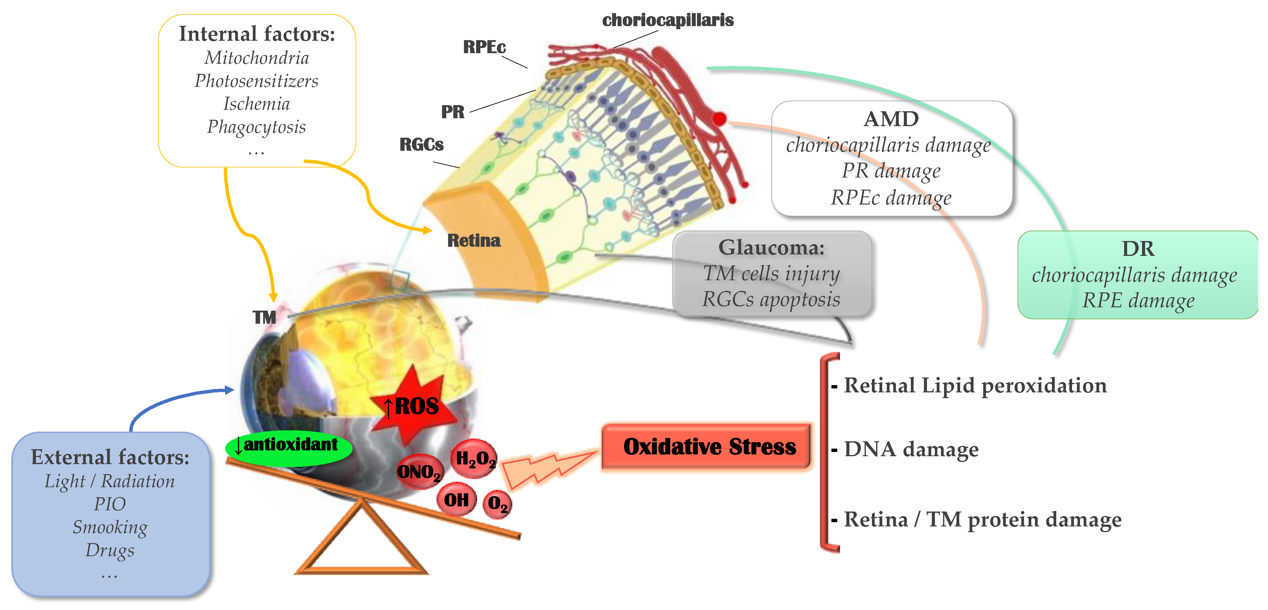 Pharmaceutics 13 01376 g001