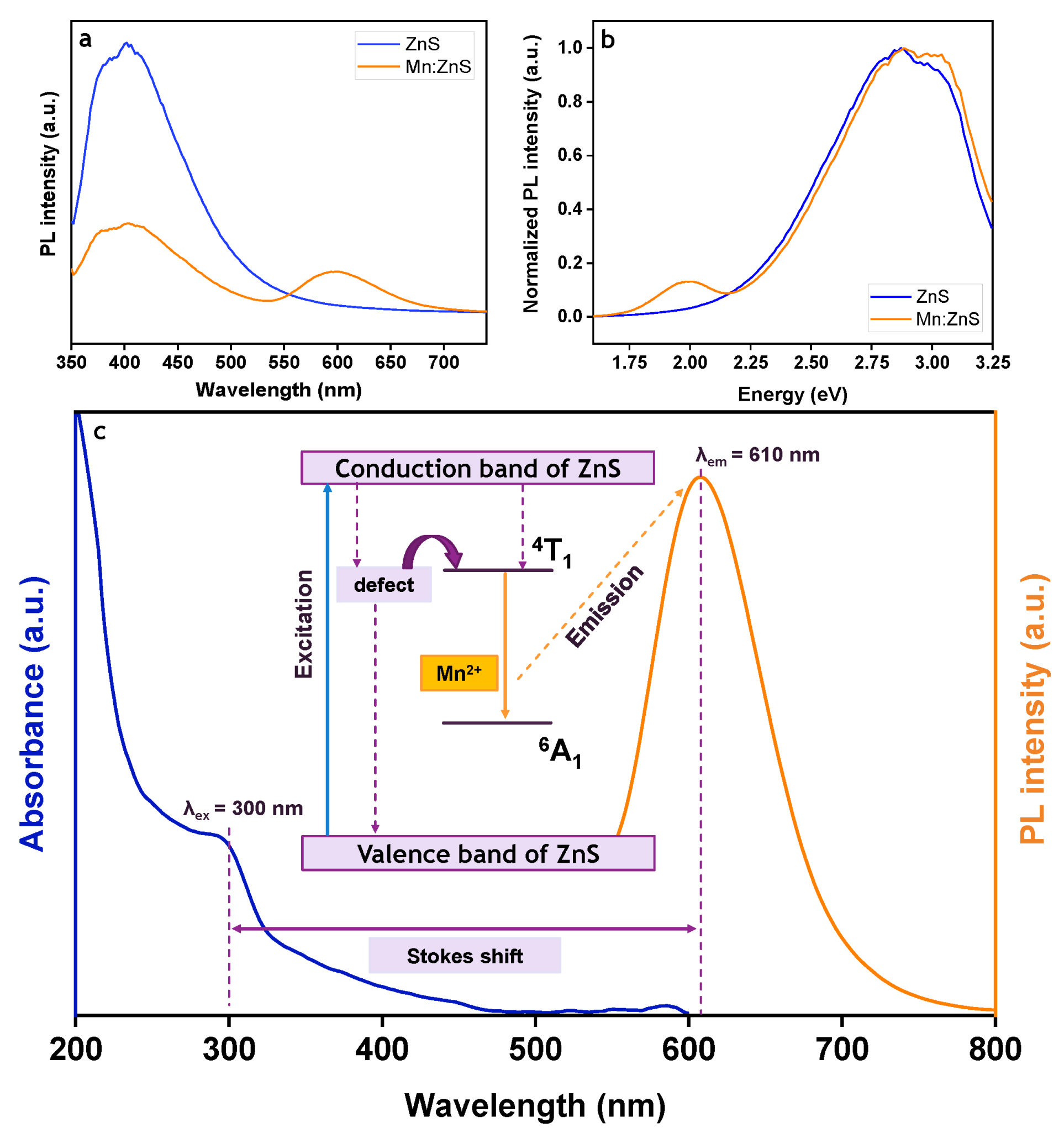 Pharmaceutics 13 01379 g002