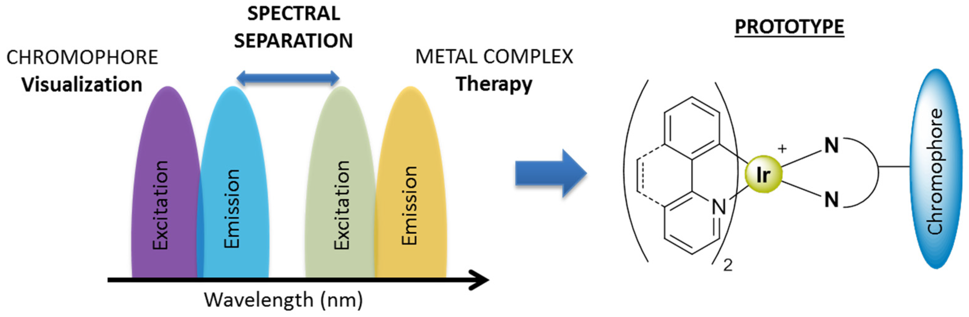 Pharmaceutics 13 01382 g002