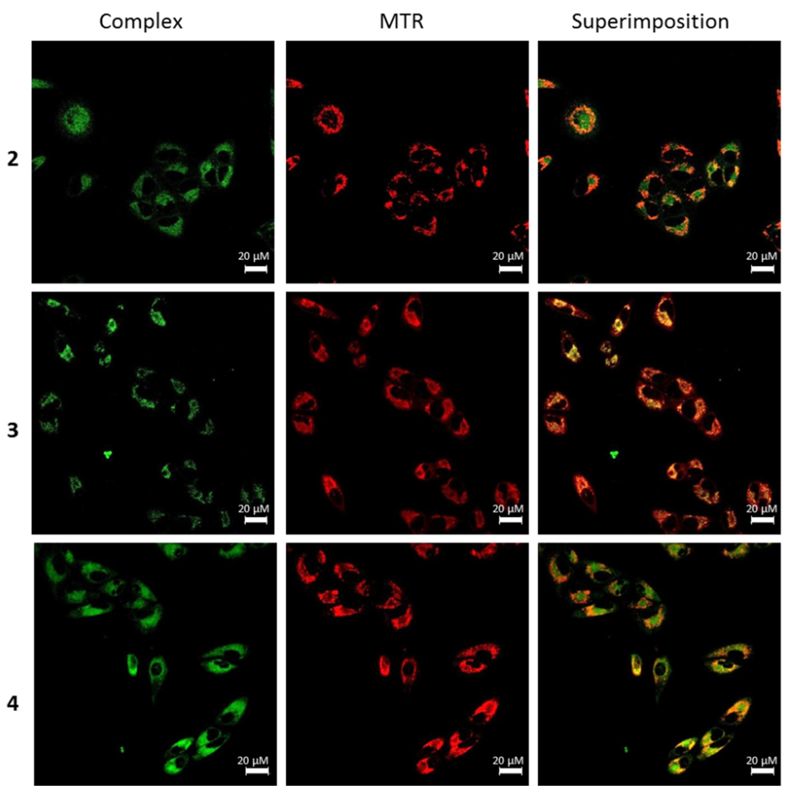 Pharmaceutics 13 01382 g008