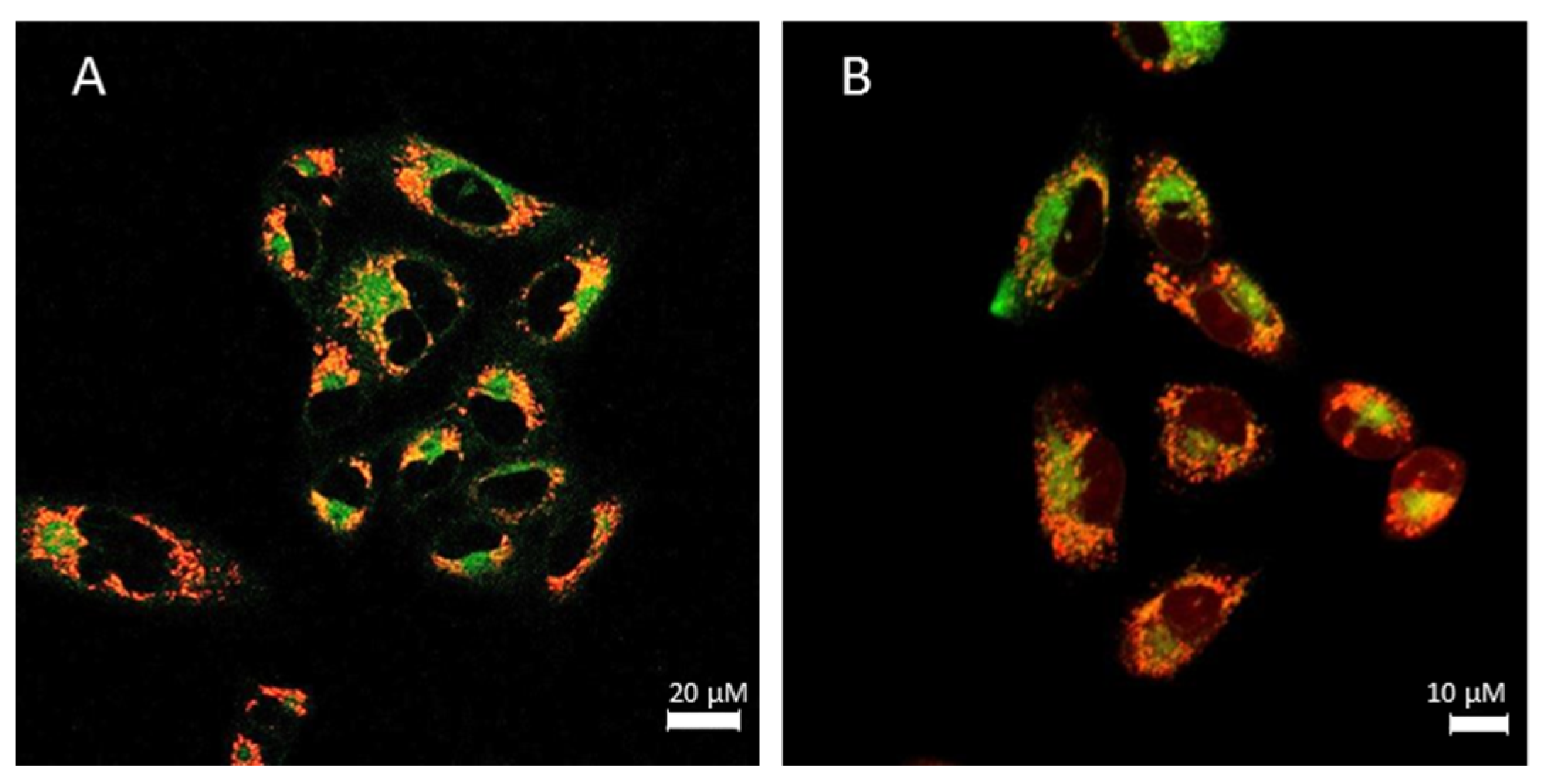 Pharmaceutics 13 01382 g009