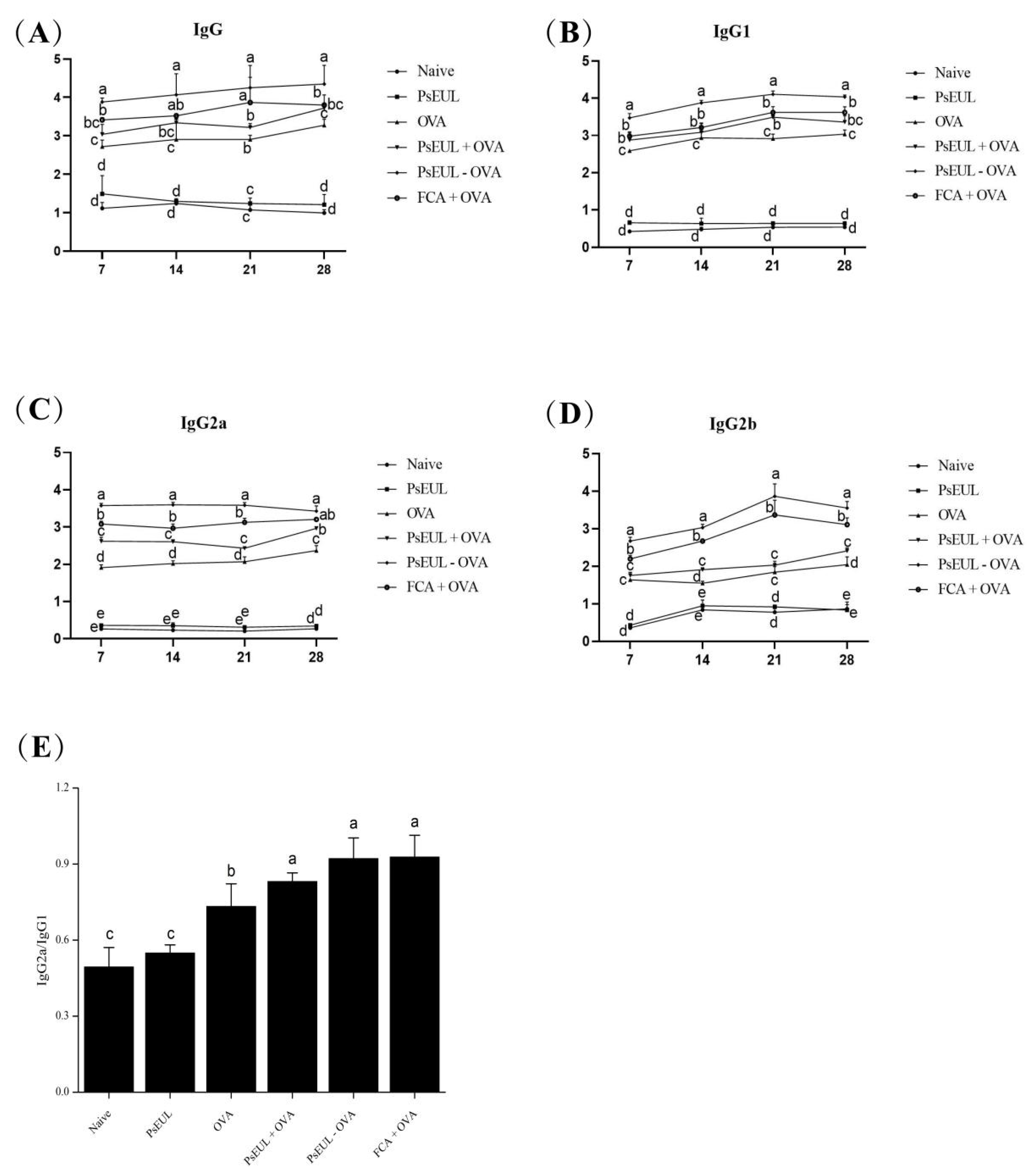 Pharmaceutics 13 01384 g007