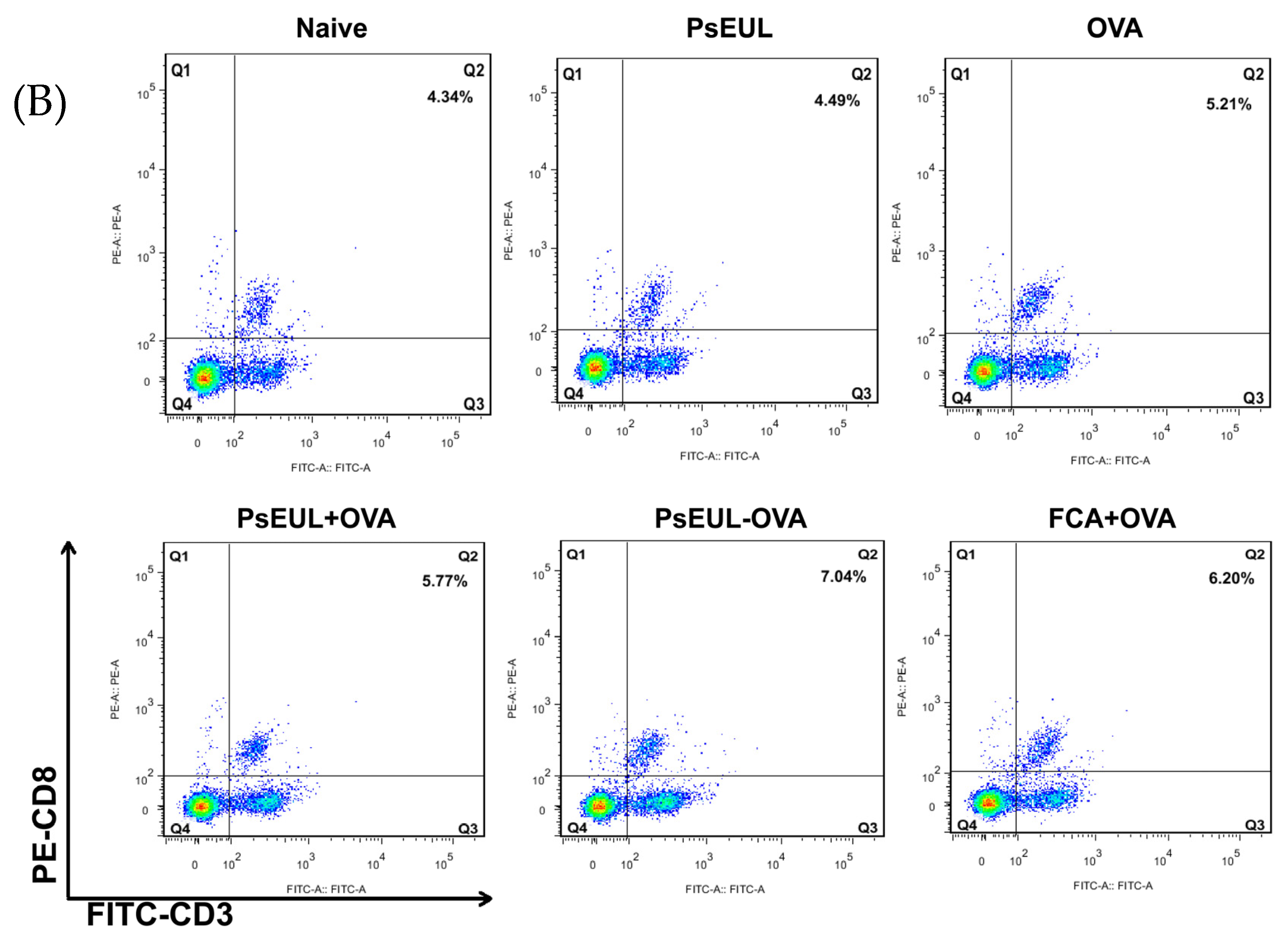 Pharmaceutics 13 01384 g009b