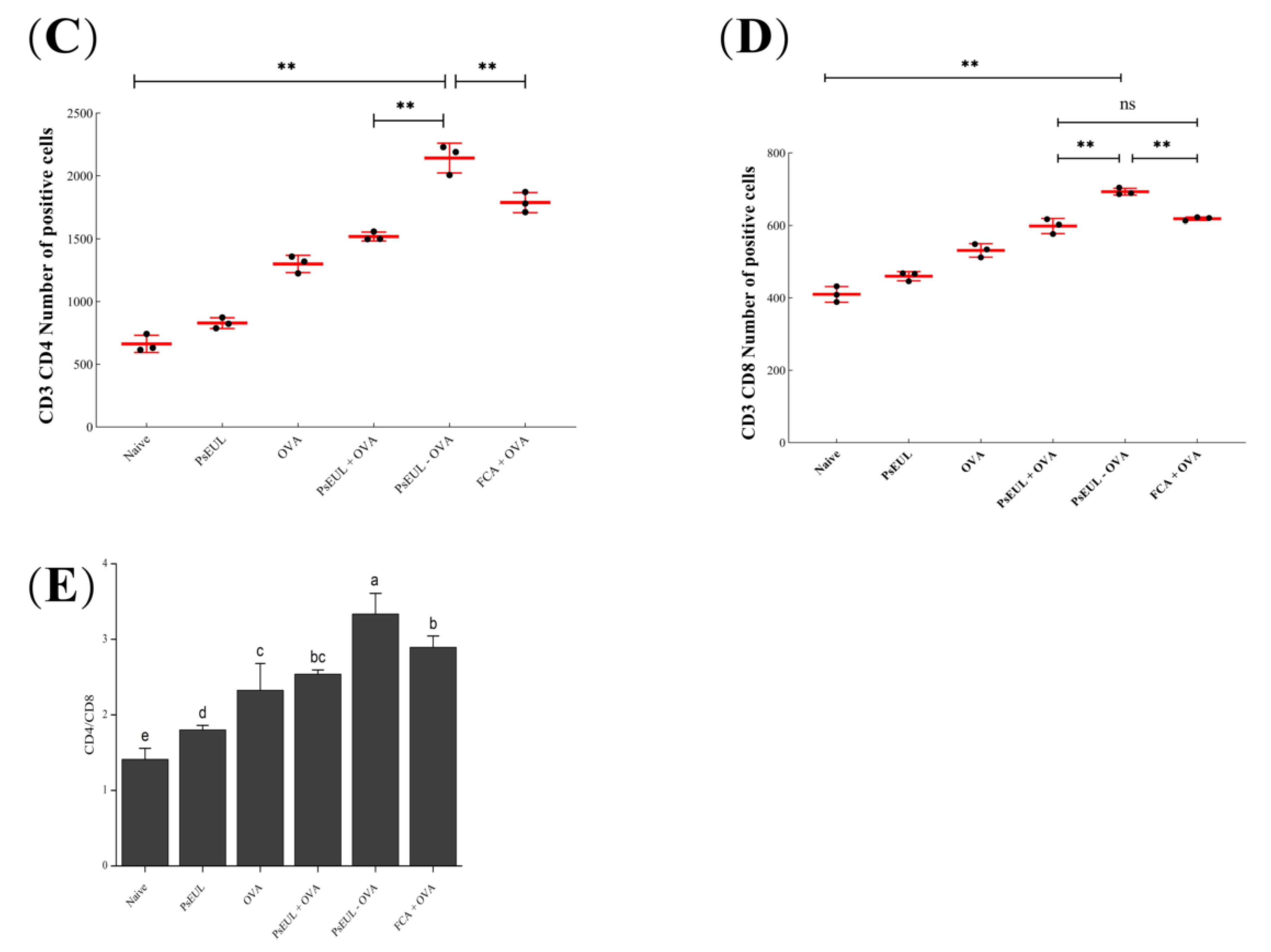 Pharmaceutics 13 01384 g009c