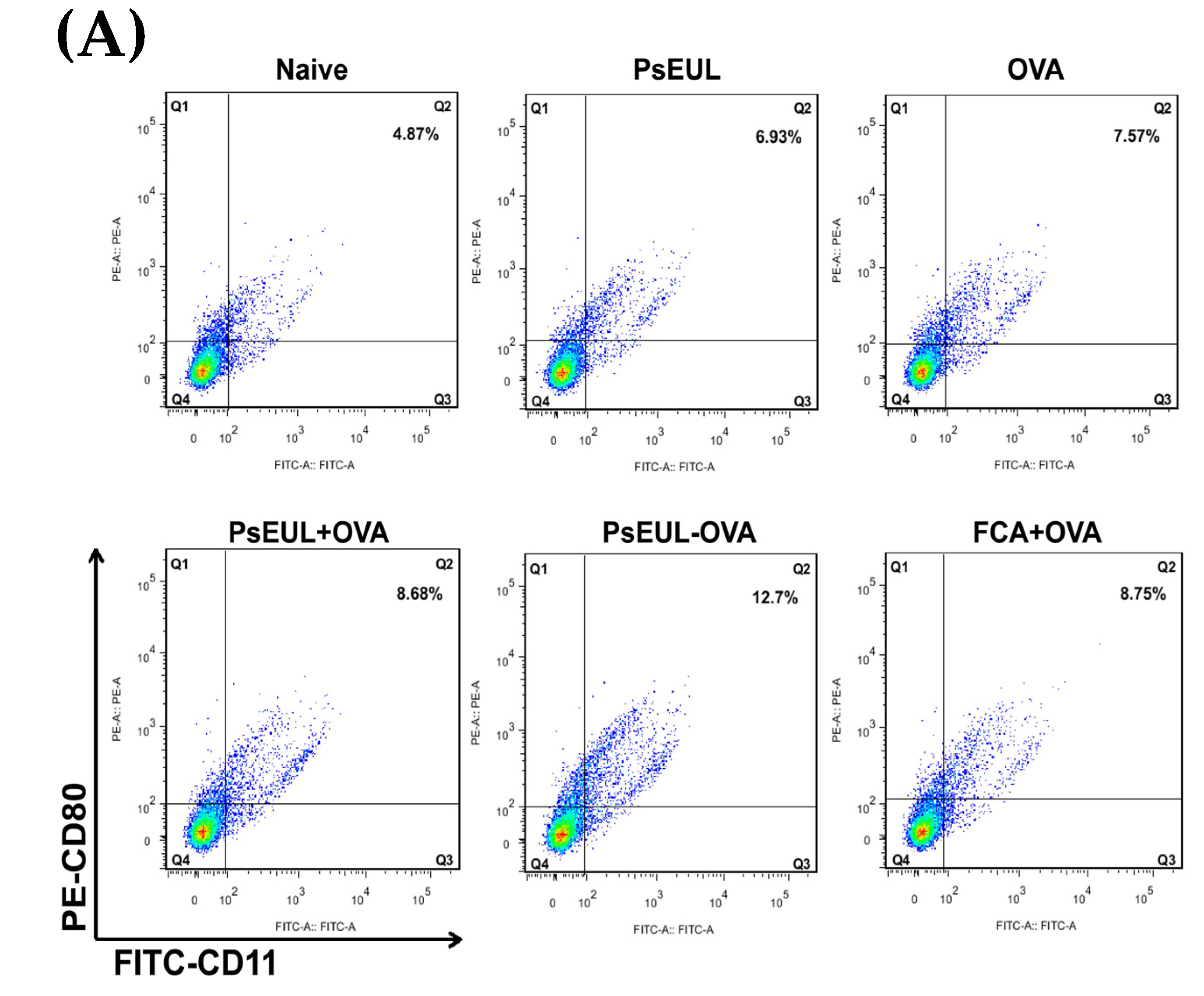 Pharmaceutics 13 01384 g010a