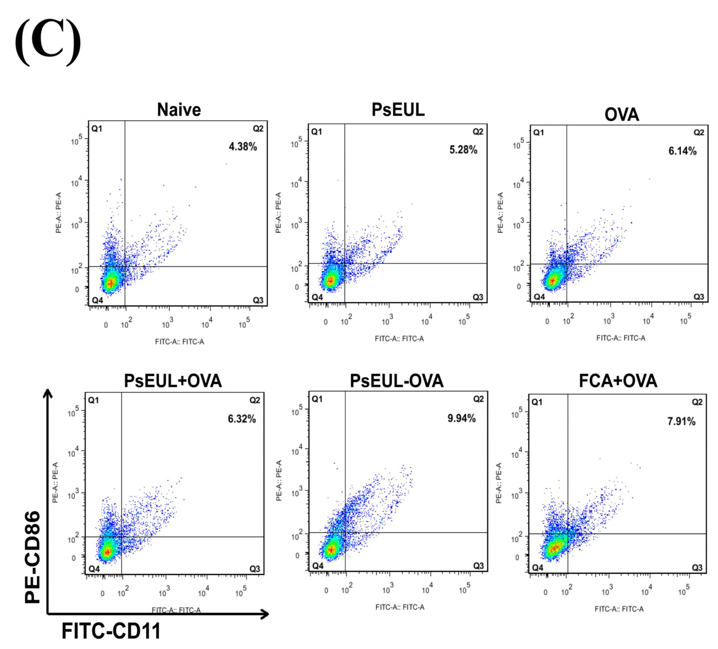 Pharmaceutics 13 01384 g010c