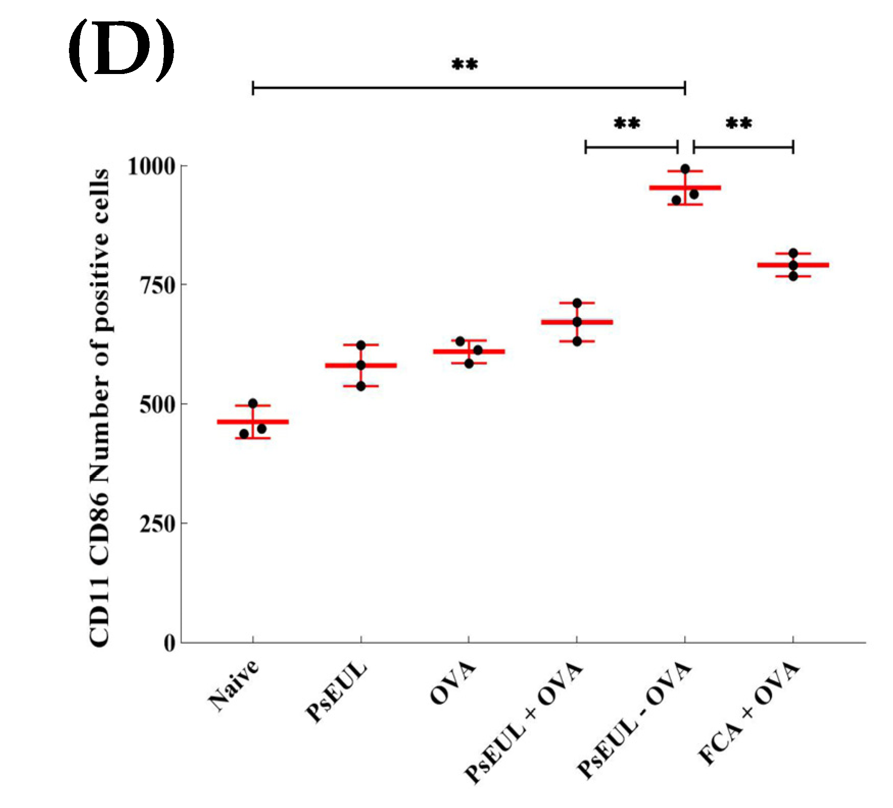 Pharmaceutics 13 01384 g010d