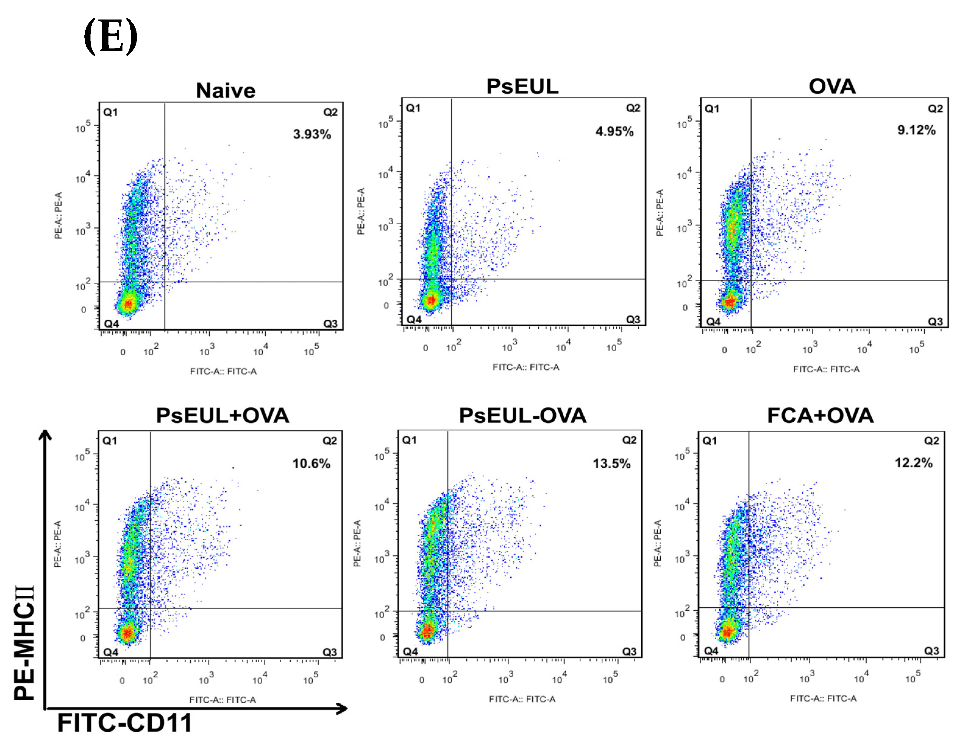 Pharmaceutics 13 01384 g010e