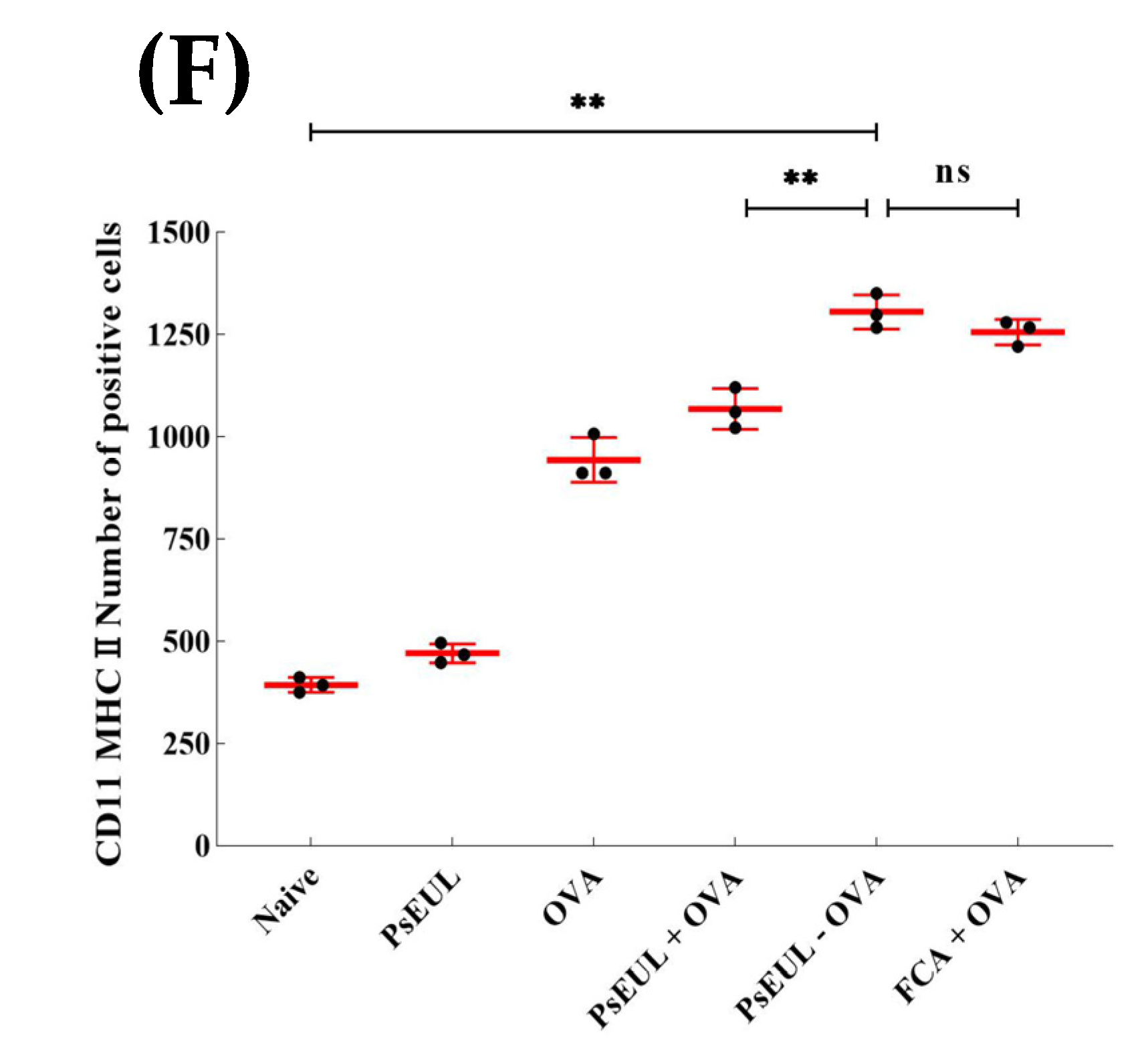 Pharmaceutics 13 01384 g010f