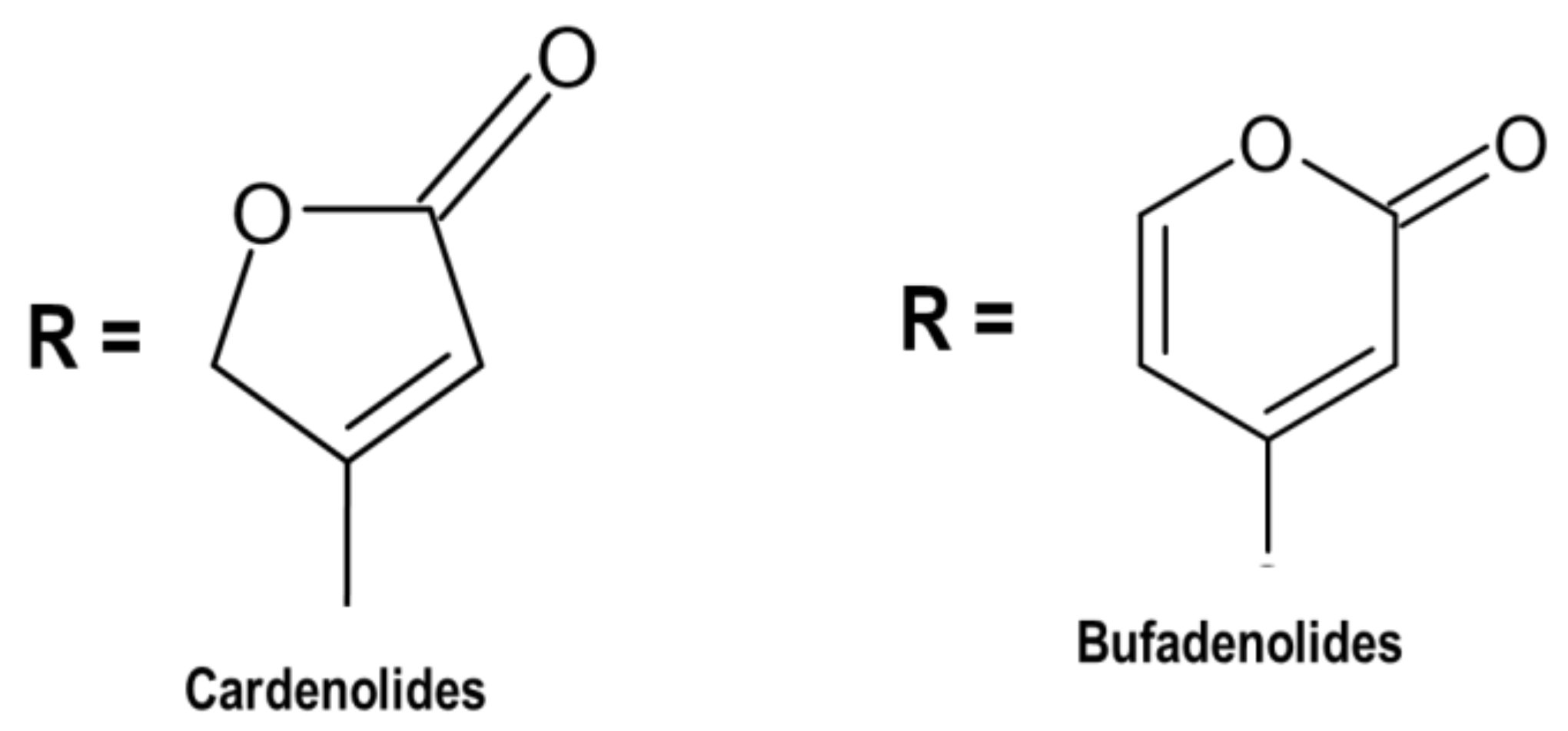 Pharmaceutics 13 01385 g001