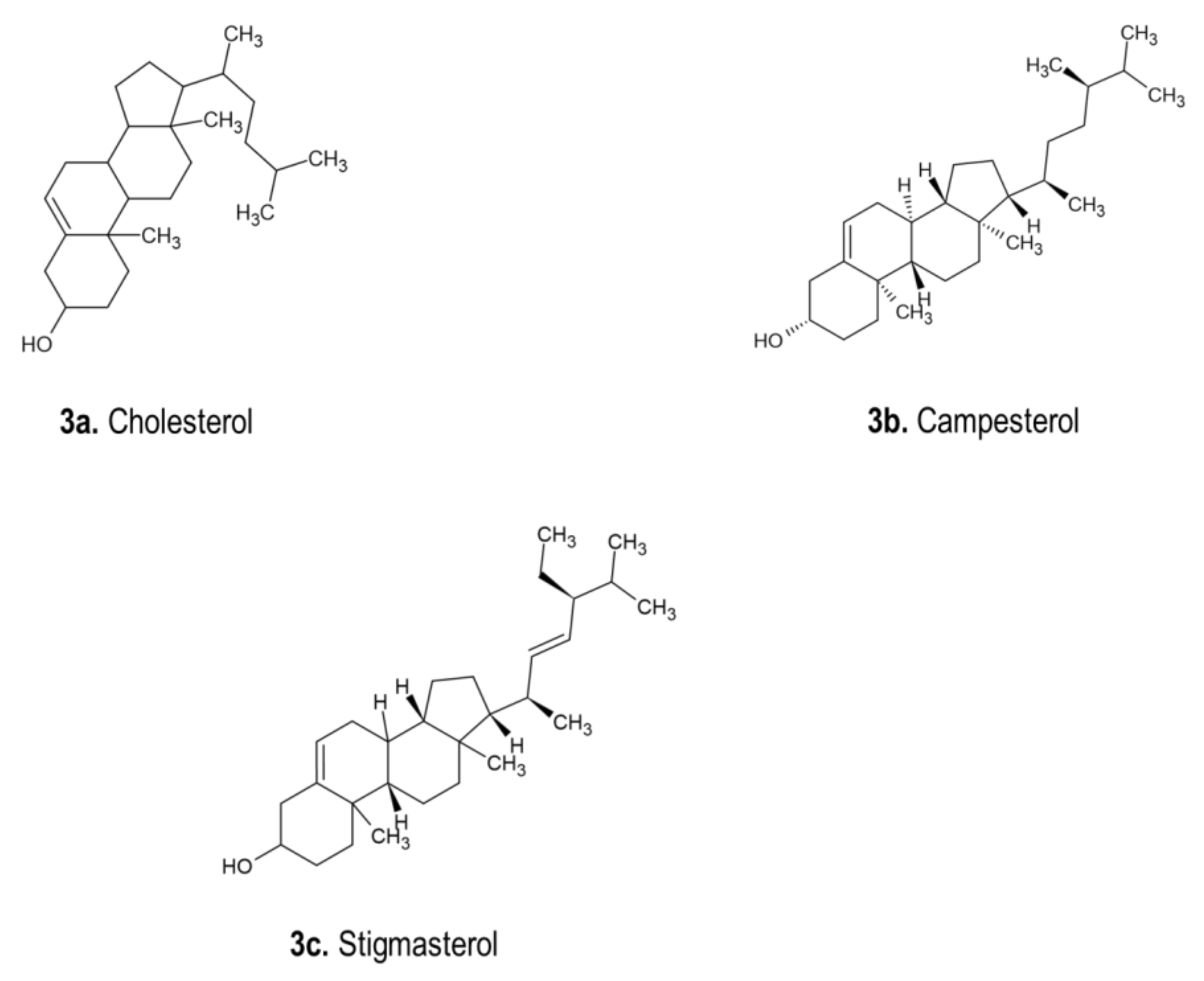 Pharmaceutics 13 01385 g003