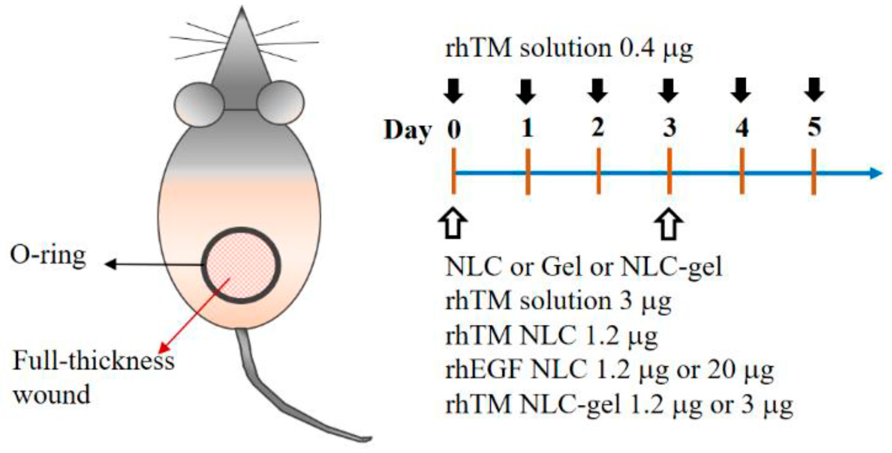 Pharmaceutics 13 01386 g001
