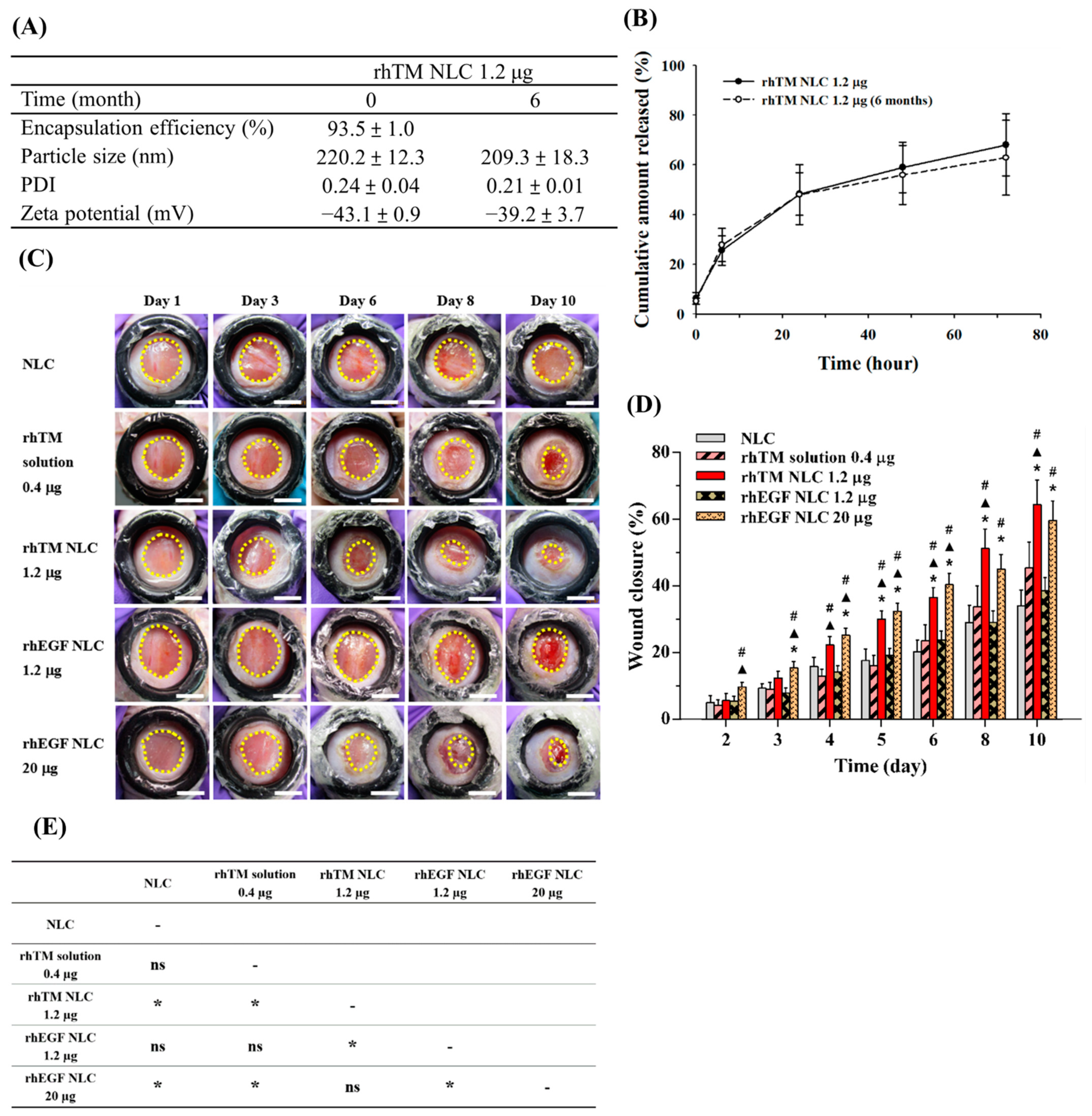 Pharmaceutics 13 01386 g002