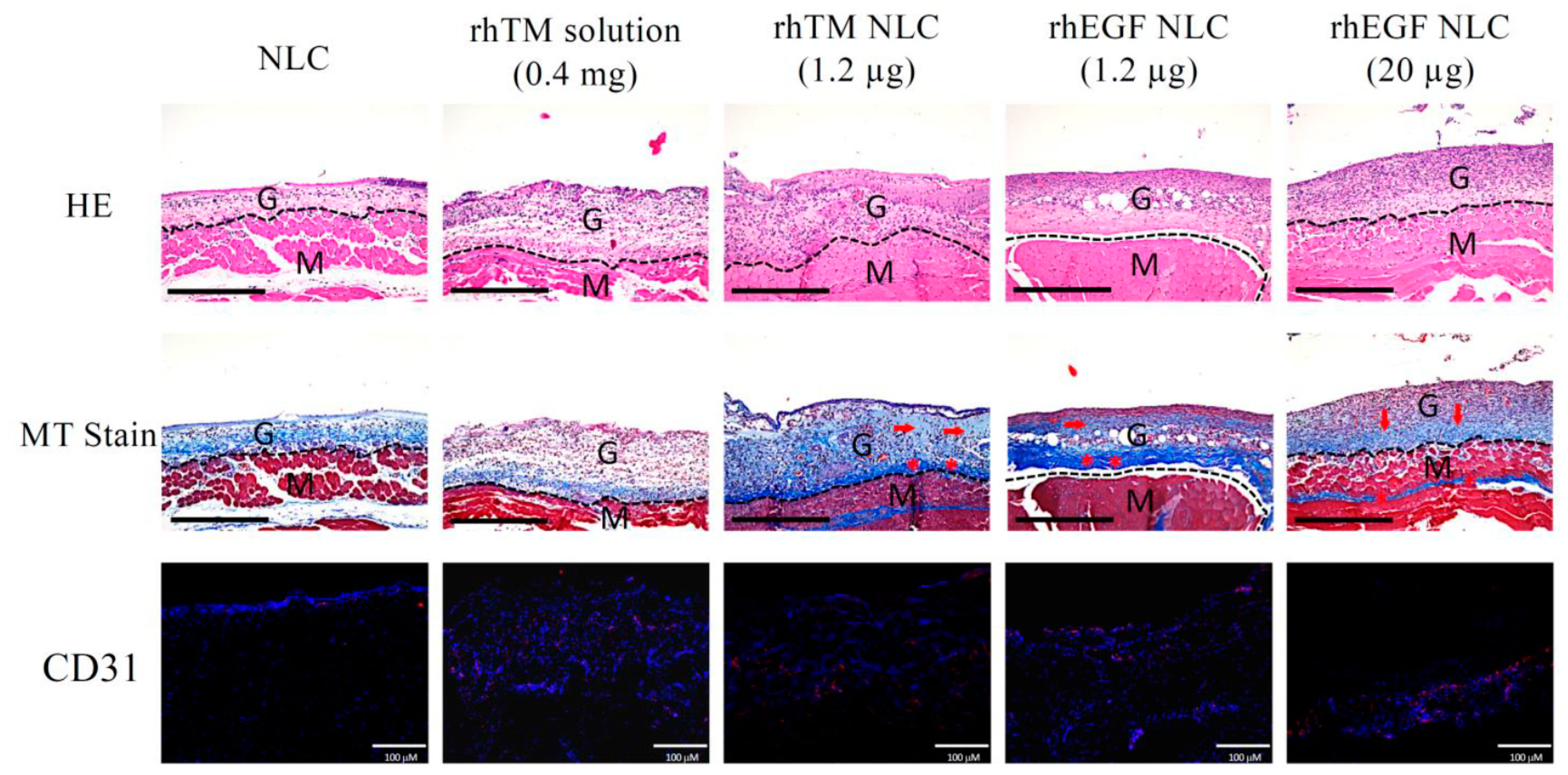 Pharmaceutics 13 01386 g003