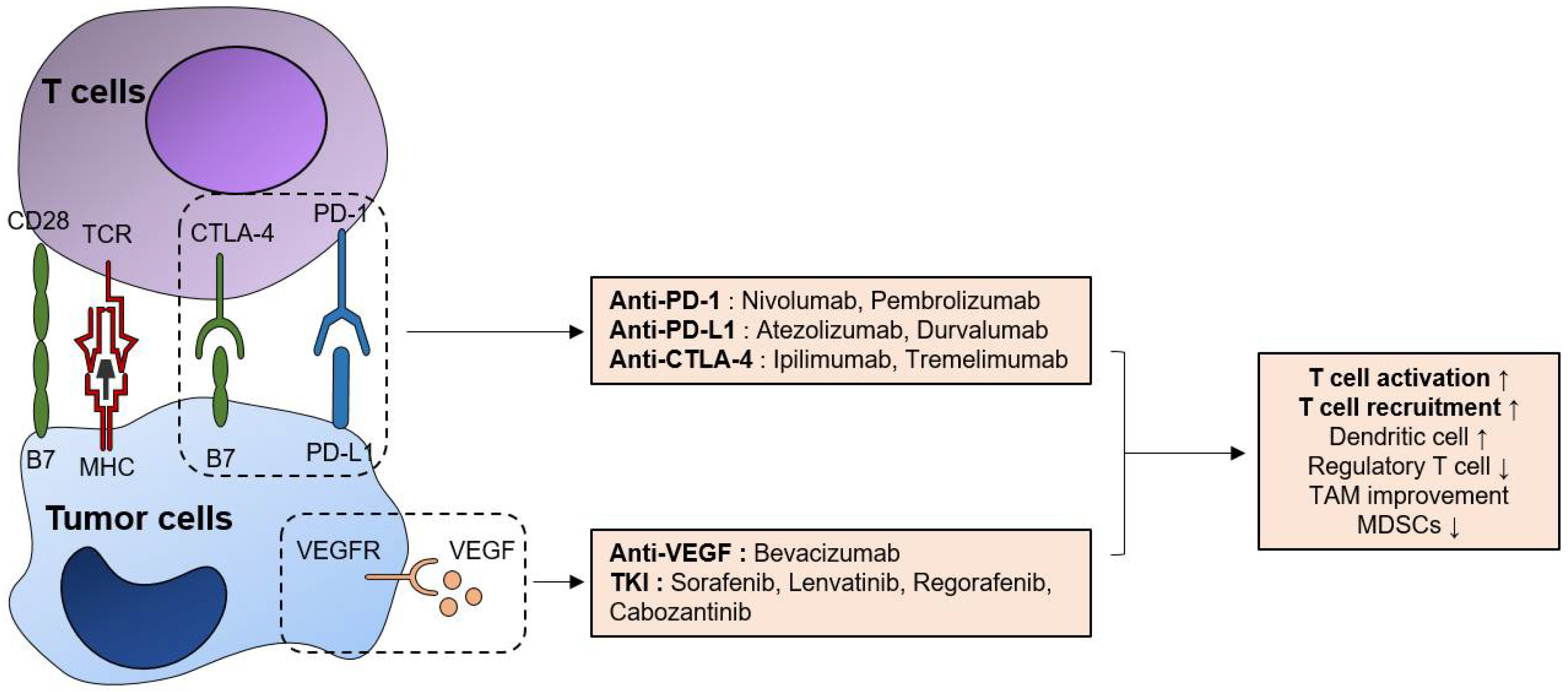 Pharmaceutics 13 01387 g001