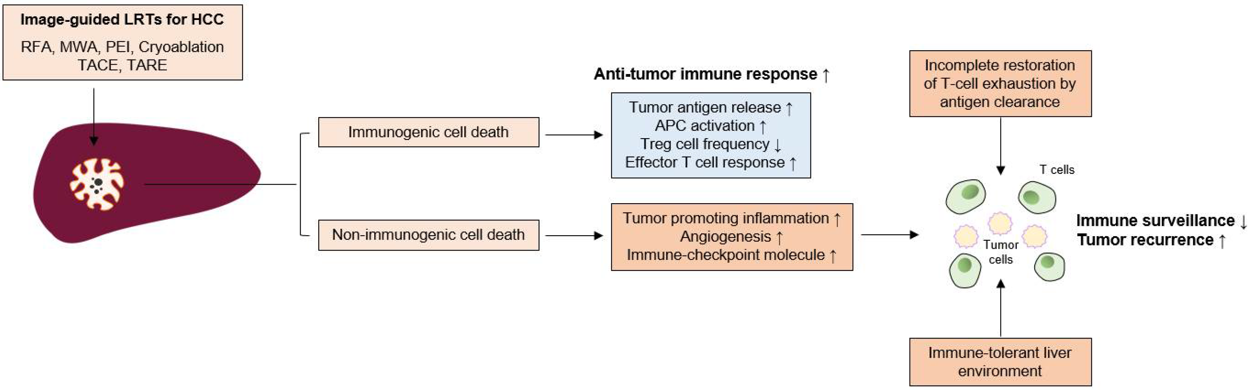 Pharmaceutics 13 01387 g002