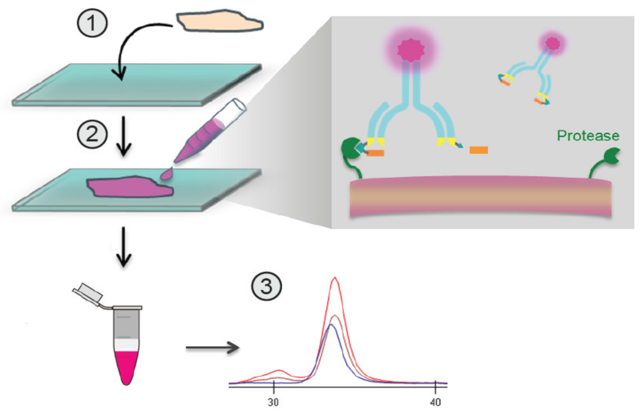 Pharmaceutics 13 01390 g001