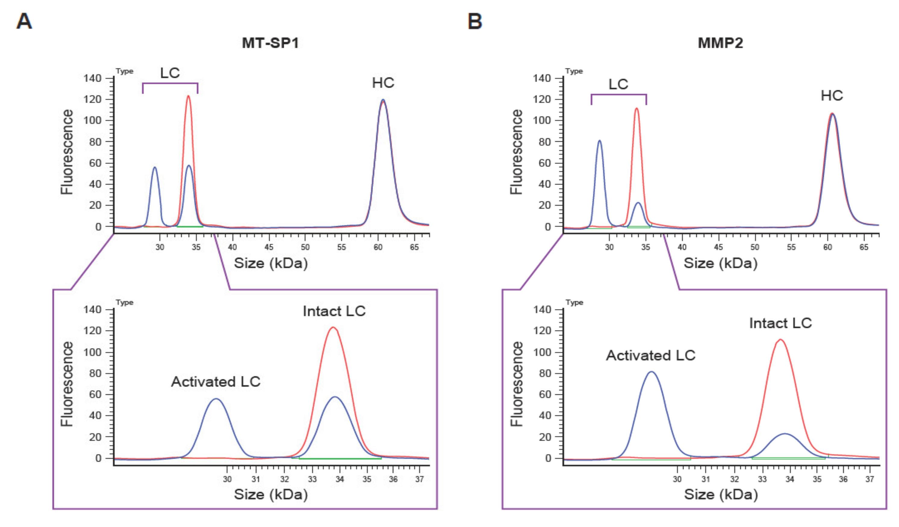 Pharmaceutics 13 01390 g002