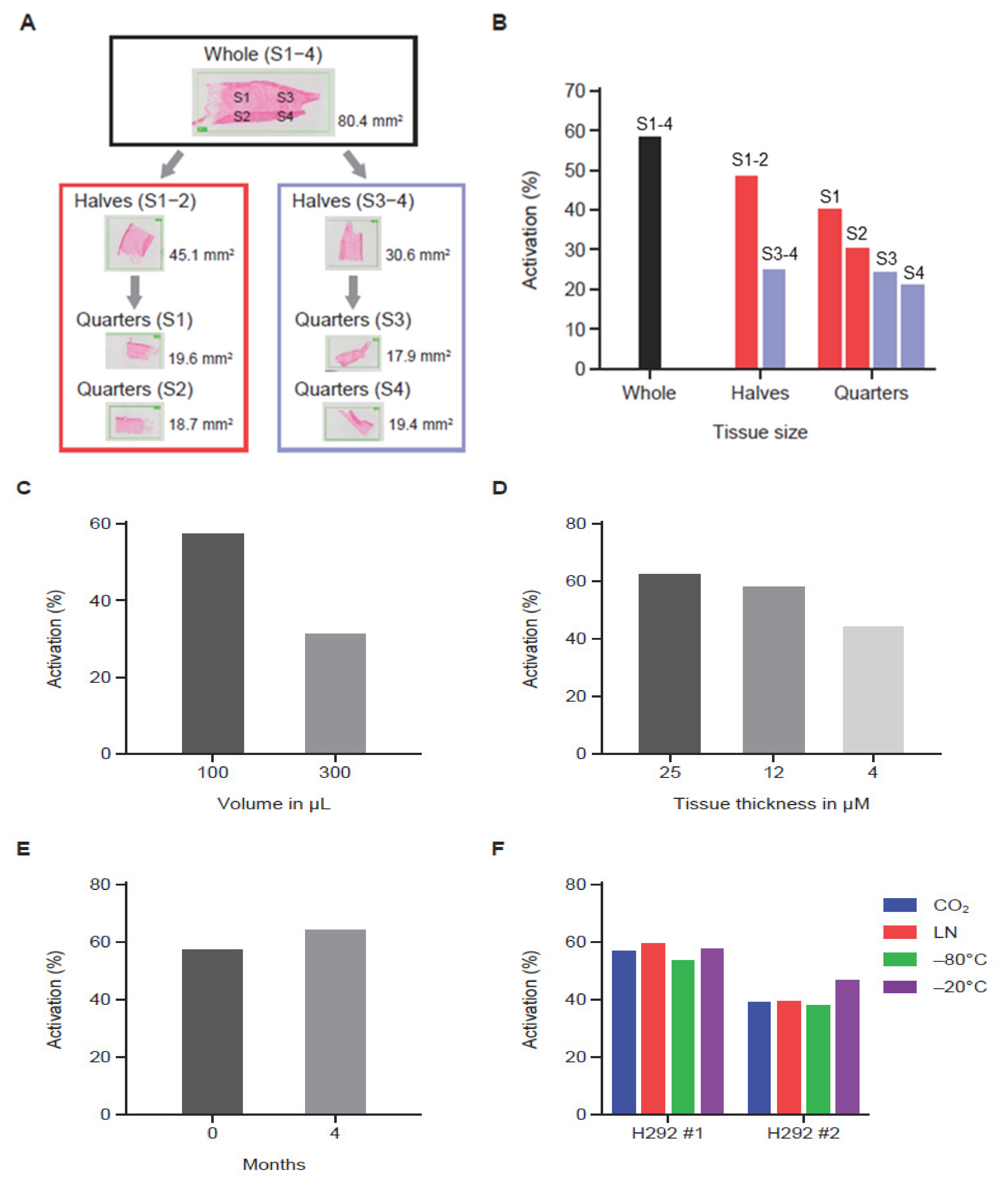Pharmaceutics 13 01390 g003