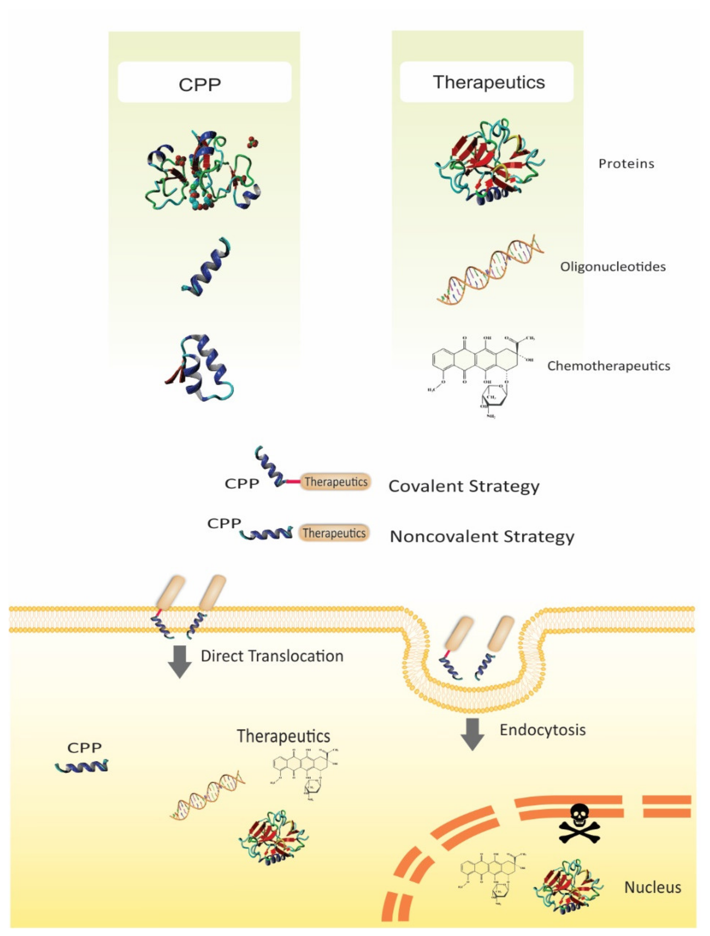 Pharmaceutics 13 01391 g001