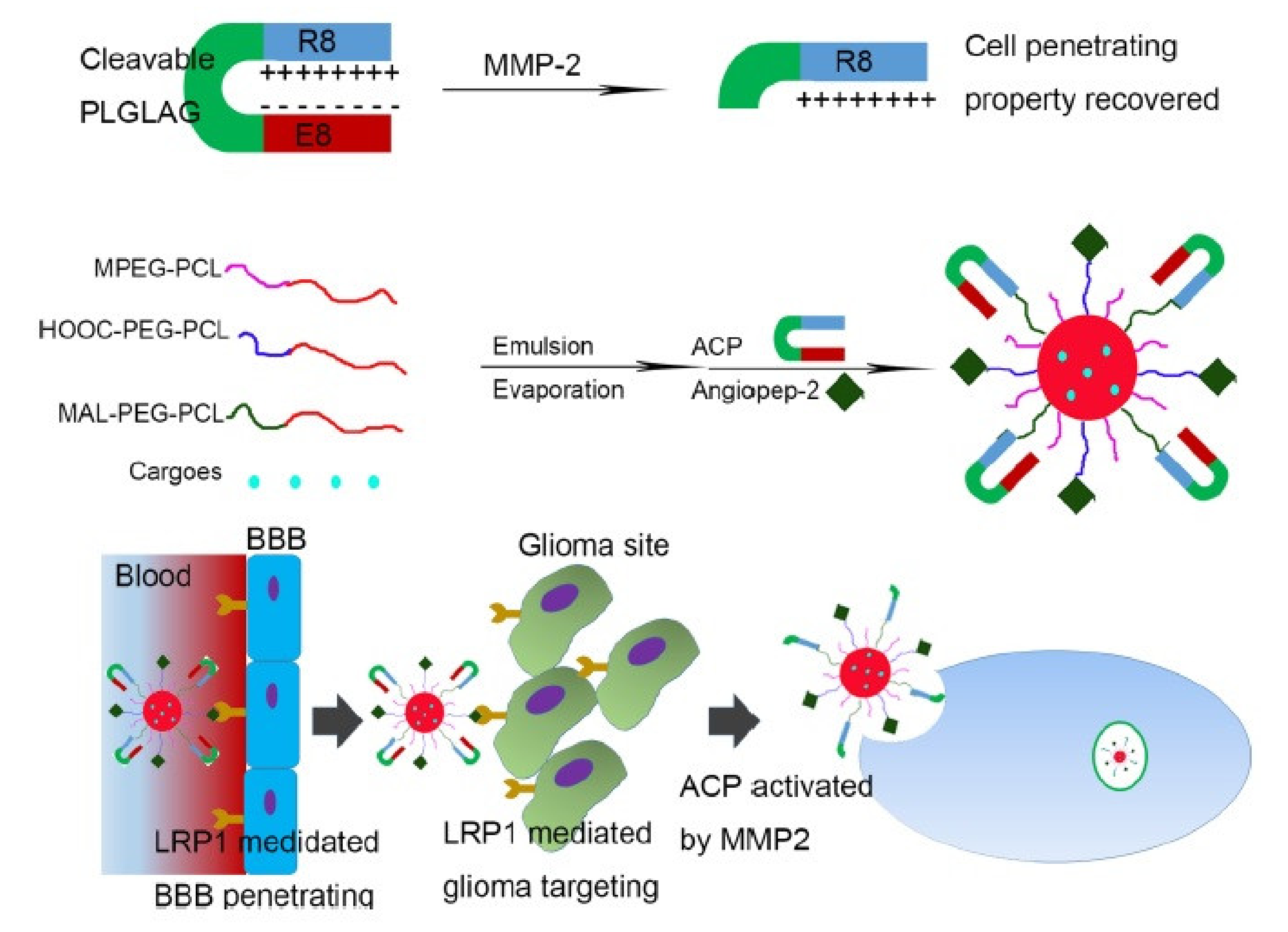 Pharmaceutics 13 01391 g007