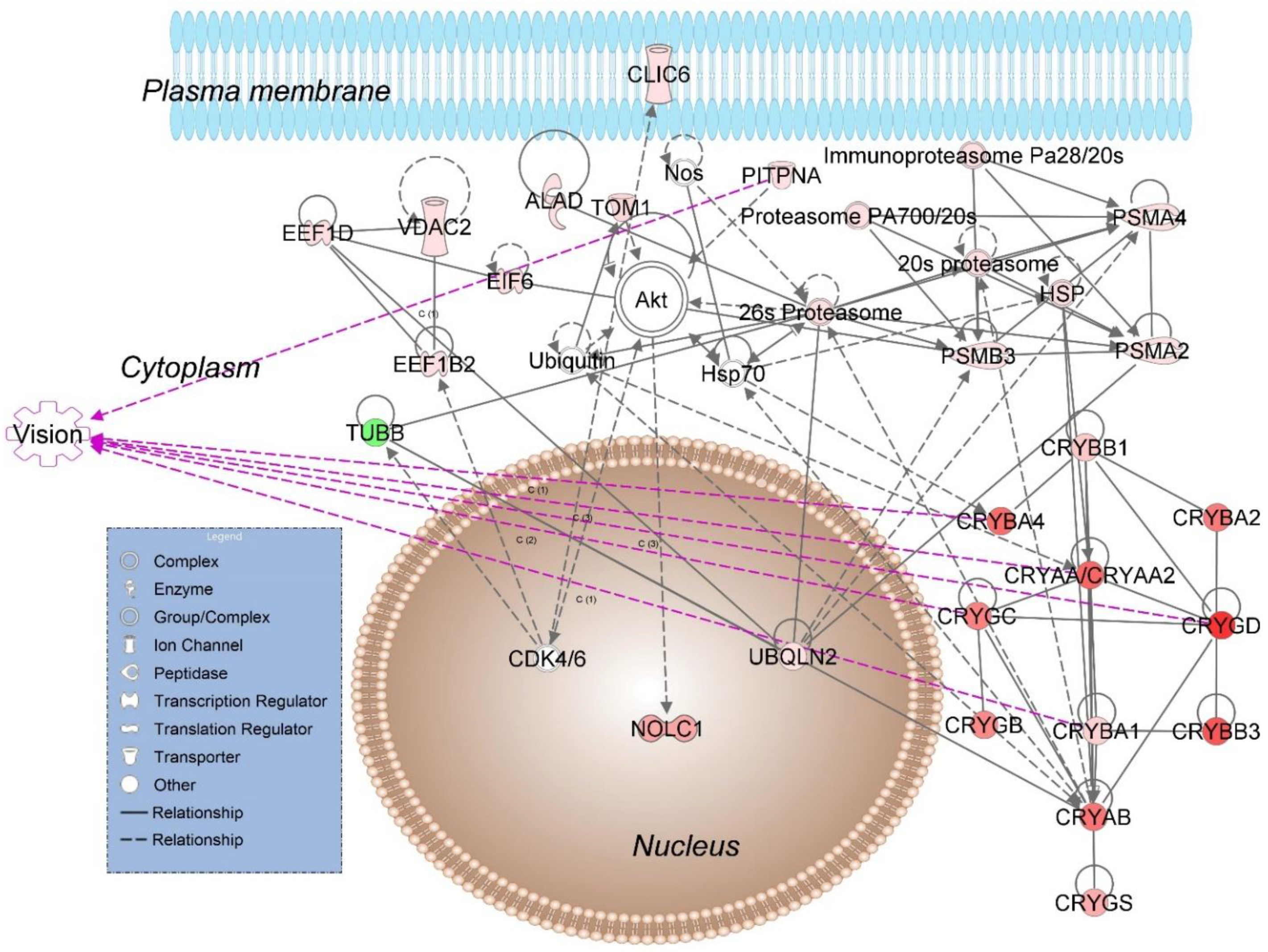 Pharmaceutics 13 01392 g002 Pharmaceutics 13 01392 g002