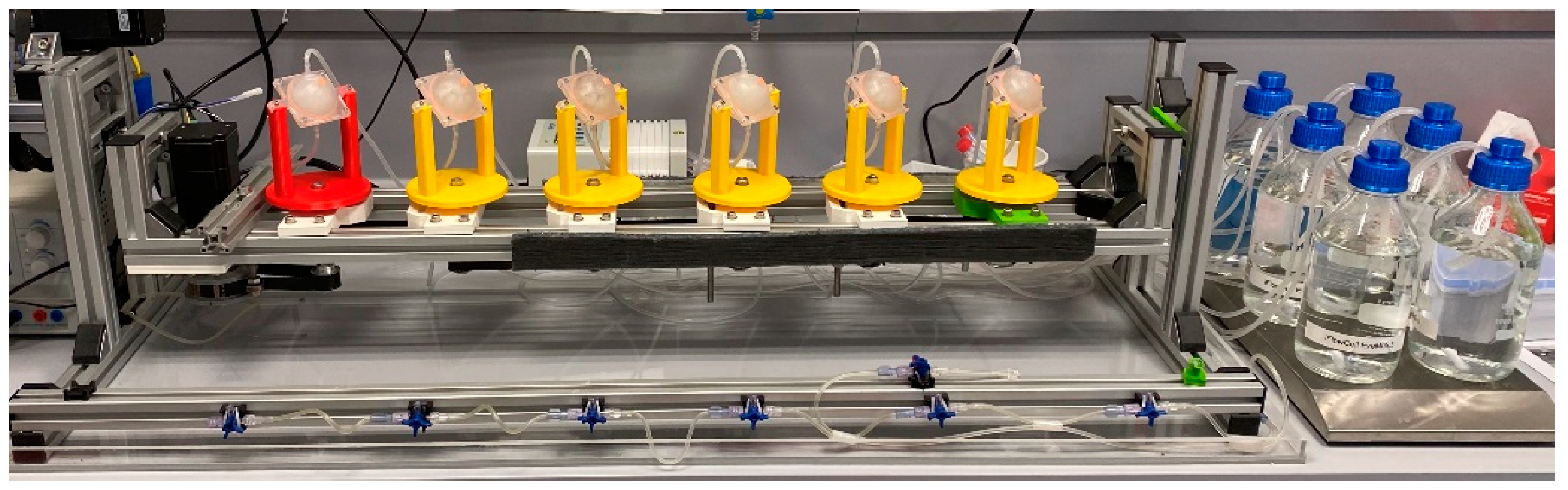 Pharmaceutics 13 01394 g003