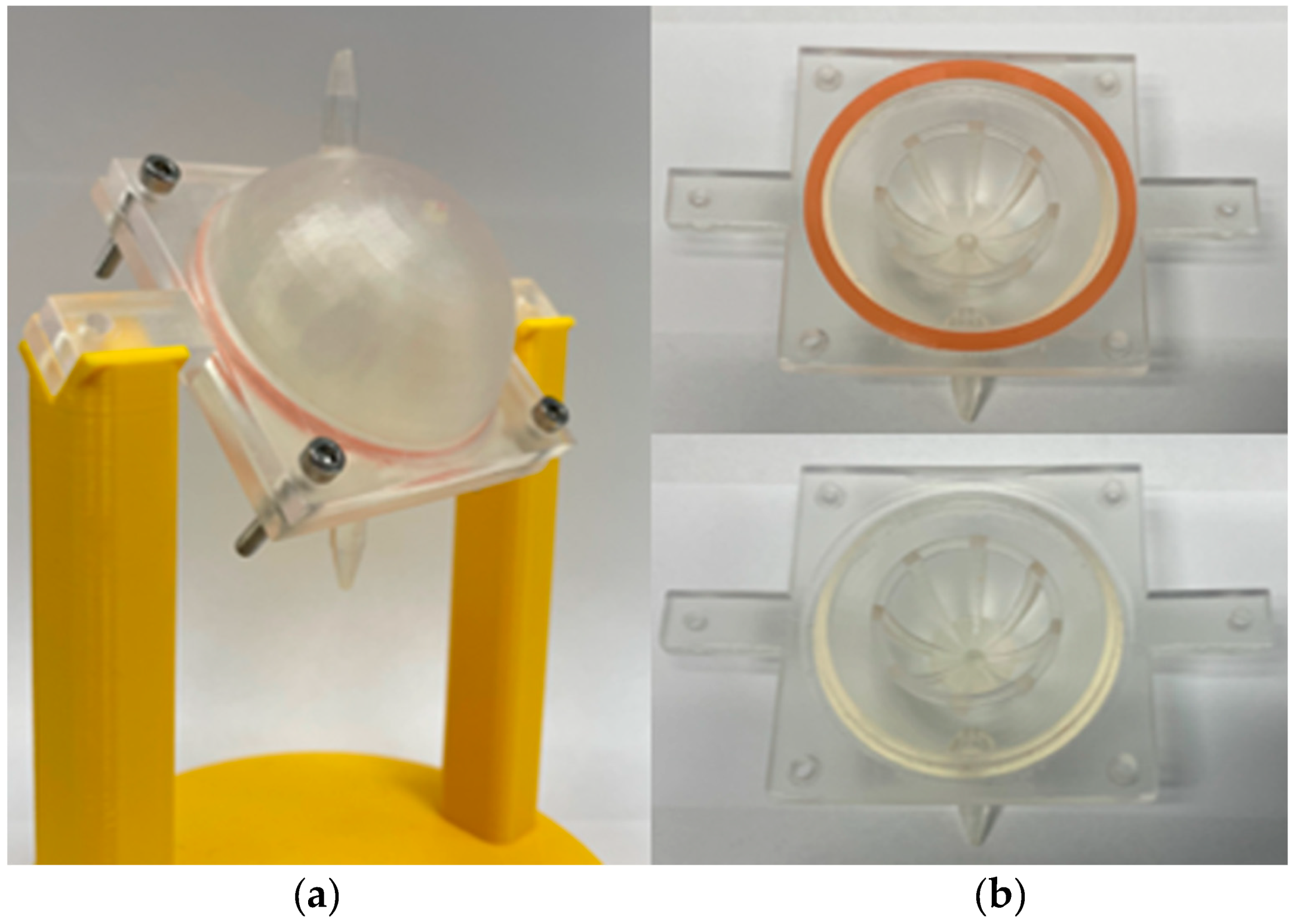 Pharmaceutics 13 01394 g006