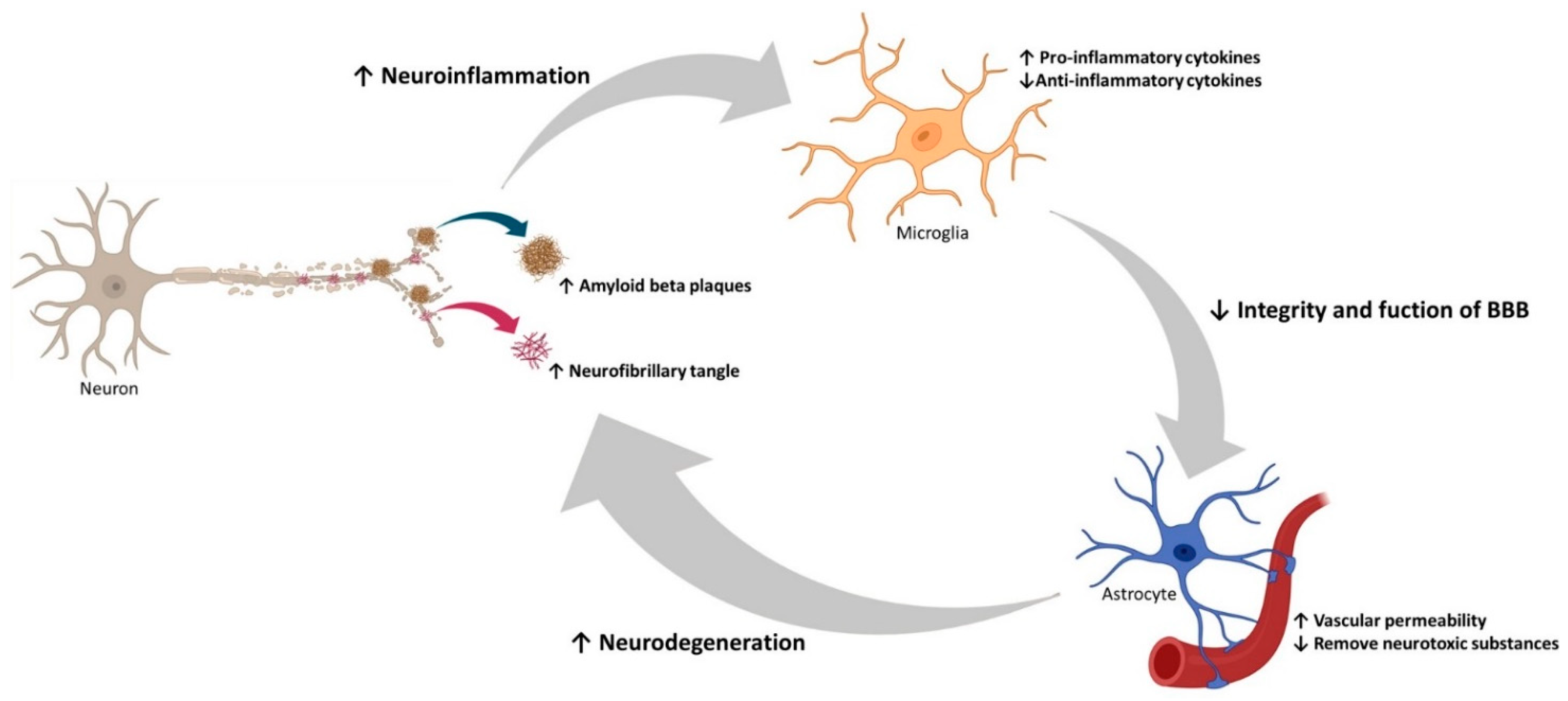 Pharmaceutics 13 01397 g004