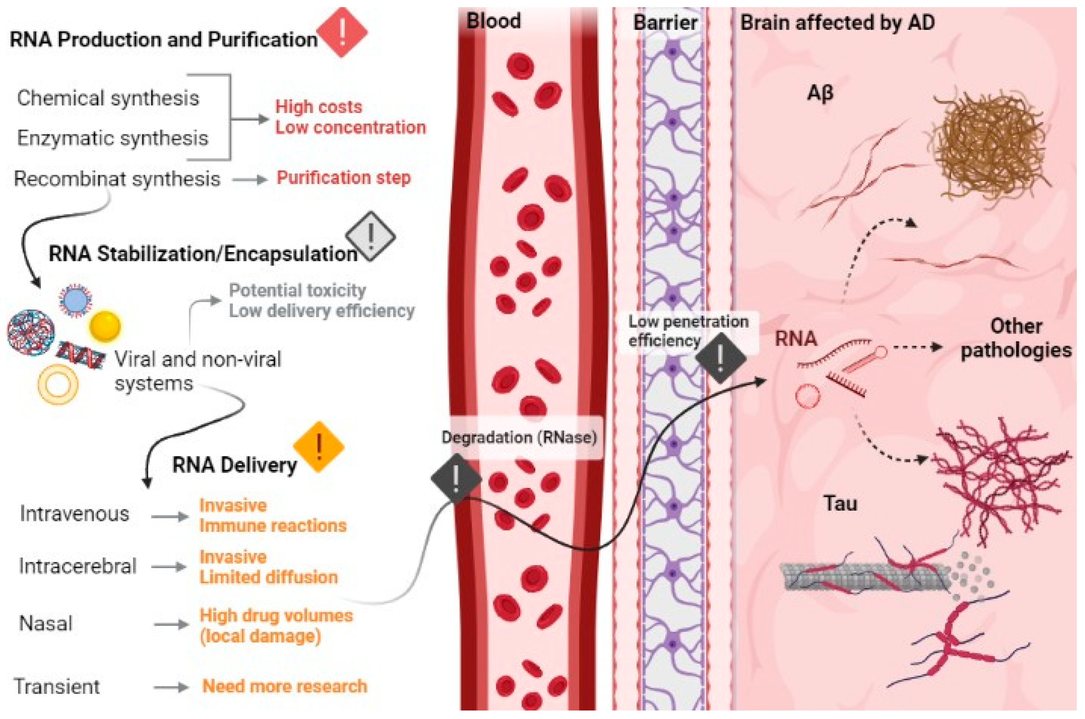 Pharmaceutics 13 01397 g008