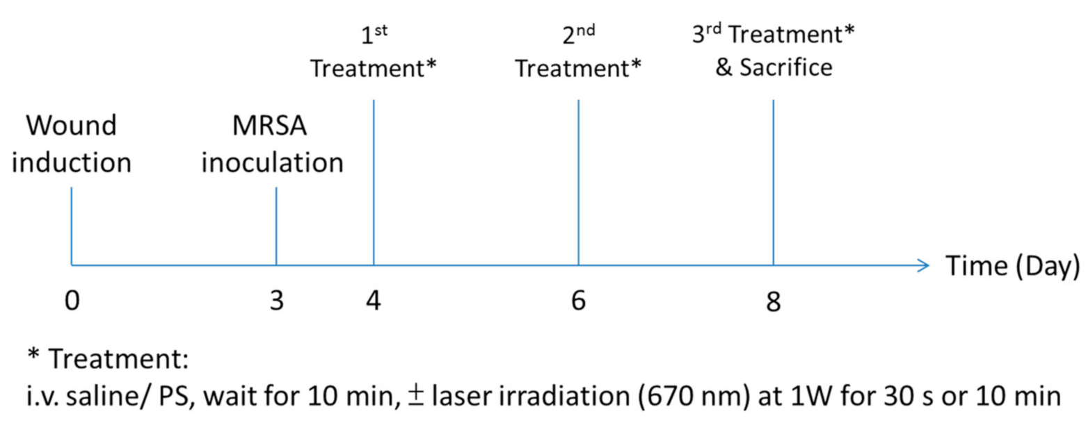 Pharmaceutics 13 01399 g002 Pharmaceutics 13 01399 g002