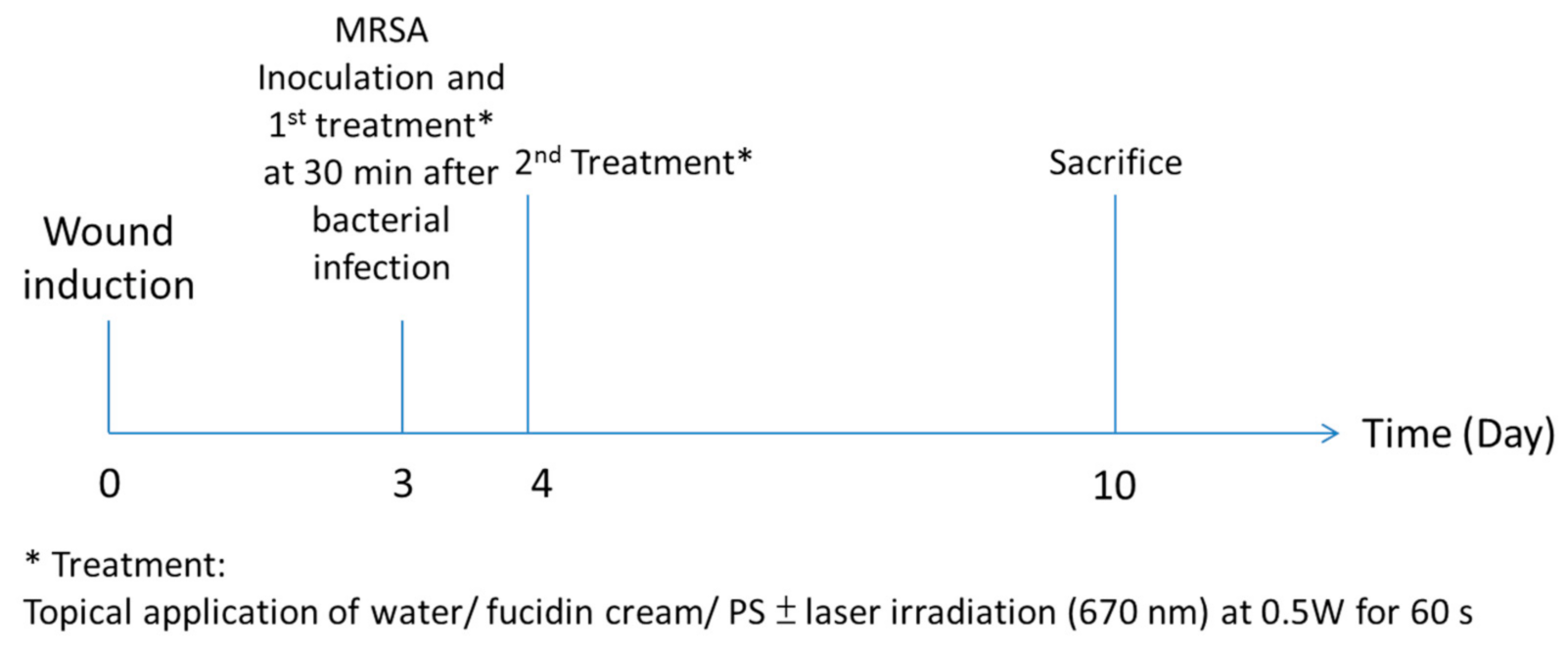 Pharmaceutics 13 01399 g003 Pharmaceutics 13 01399 g003
