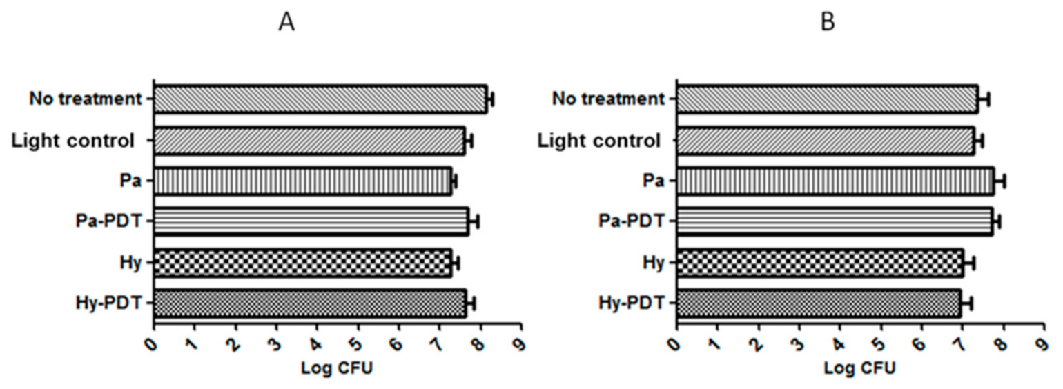 Pharmaceutics 13 01399 g004 Pharmaceutics 13 01399 g004