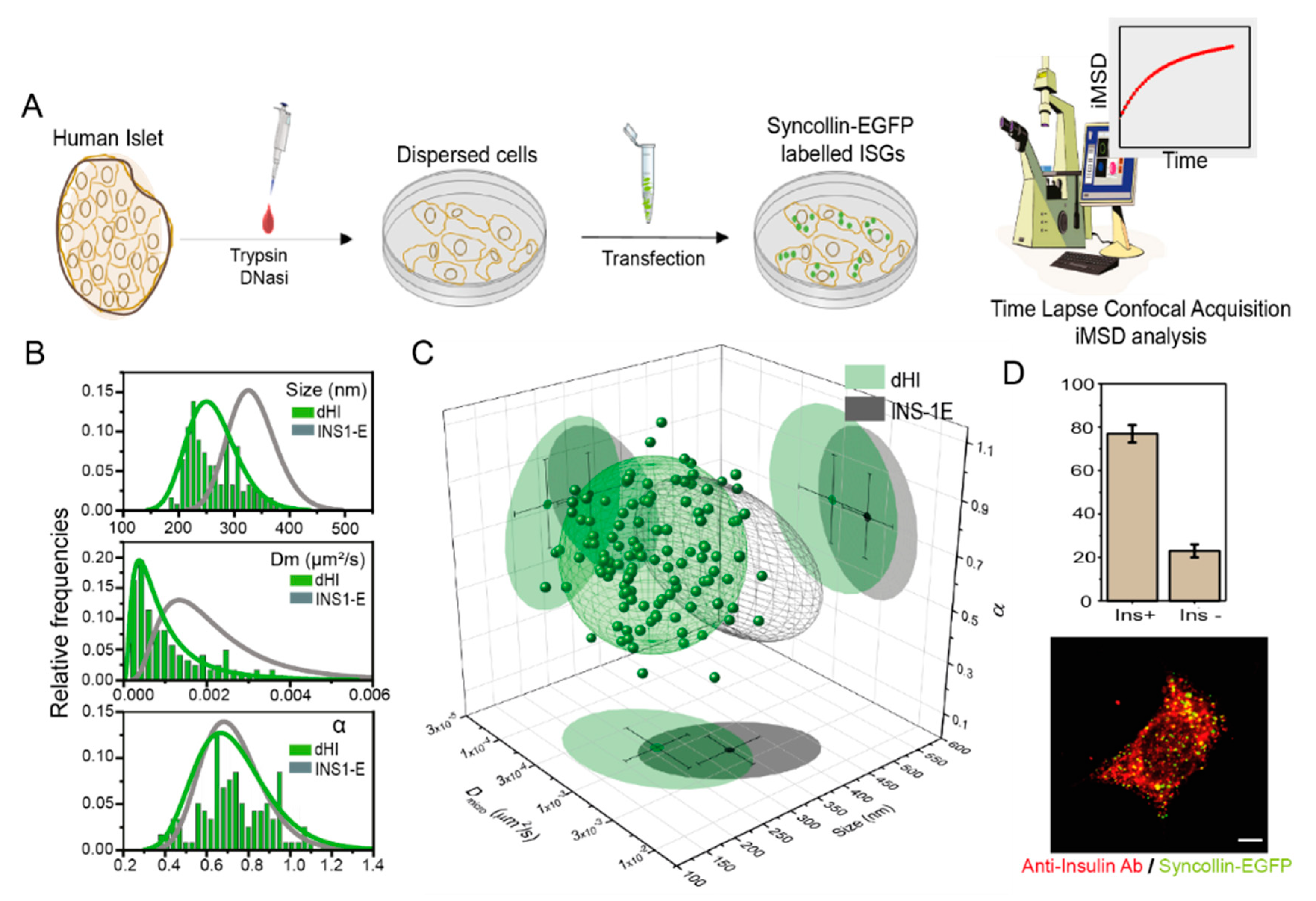 Pharmaceutics 13 01403 g001