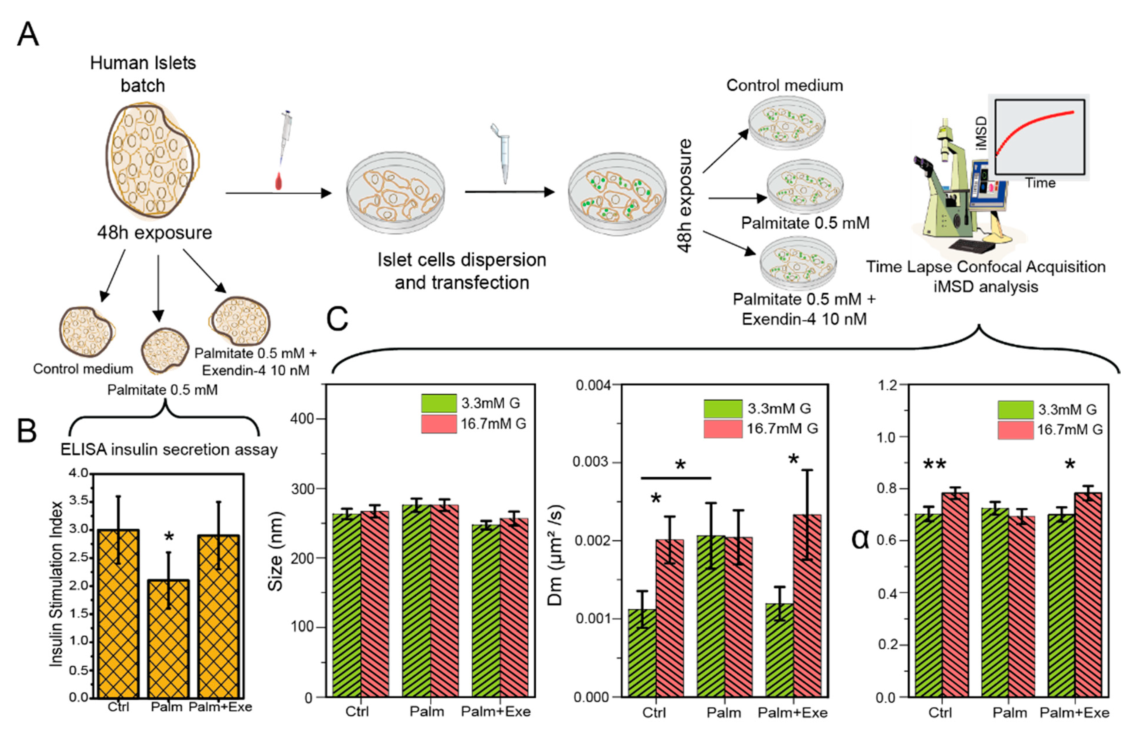 Pharmaceutics 13 01403 g002