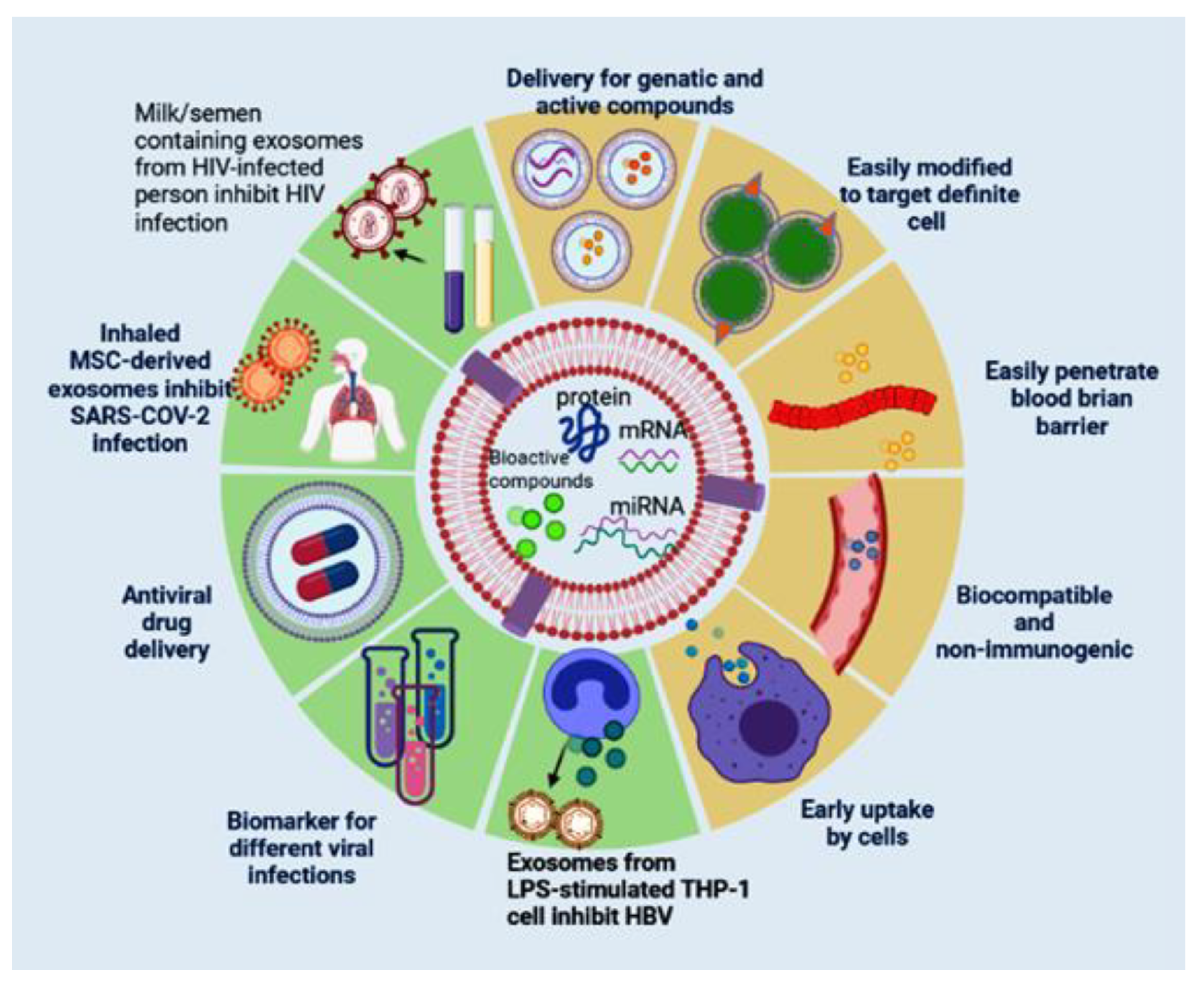 Pharmaceutics 13 01405 g003