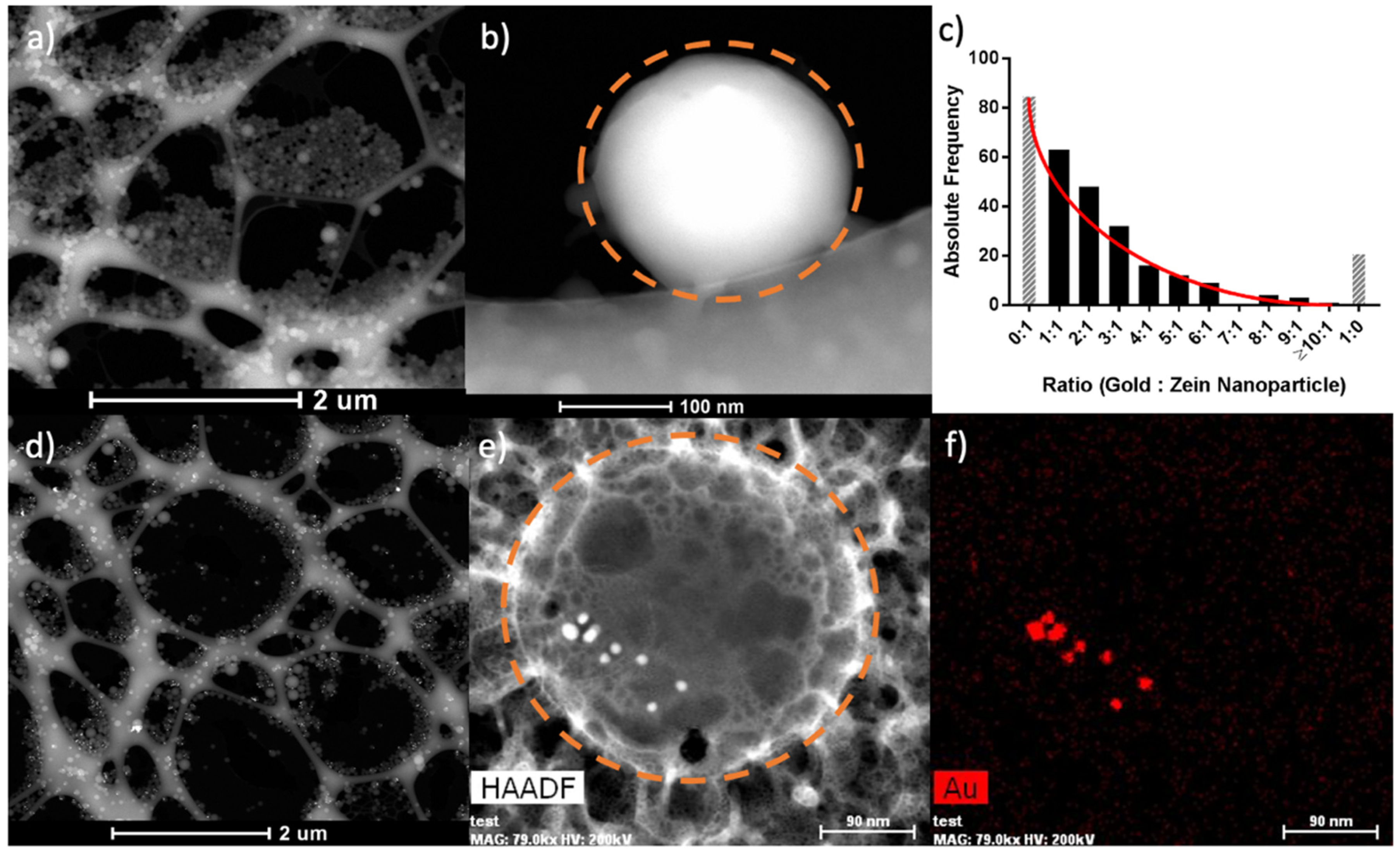 Pharmaceutics 13 01407 g002