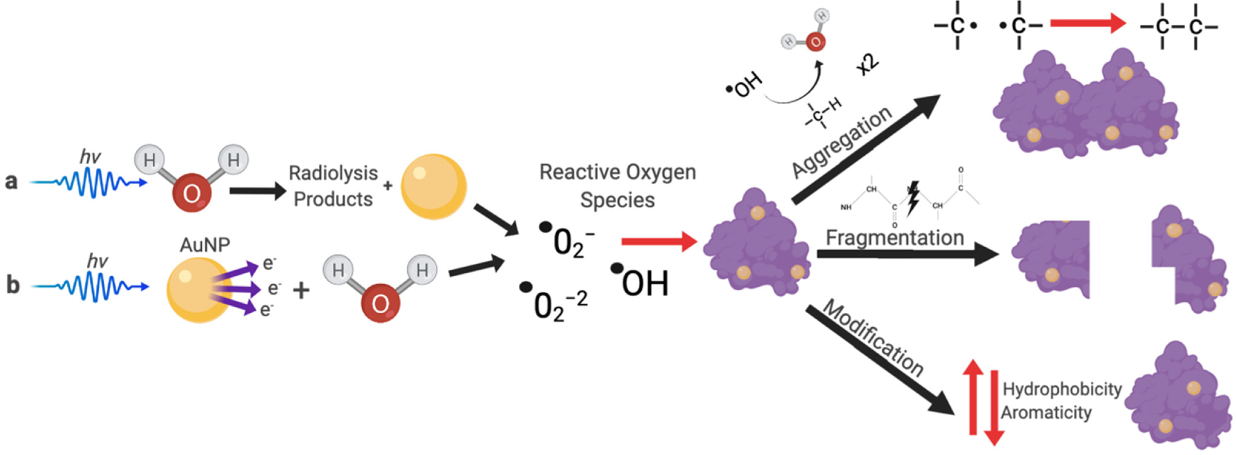 Pharmaceutics 13 01407 g004