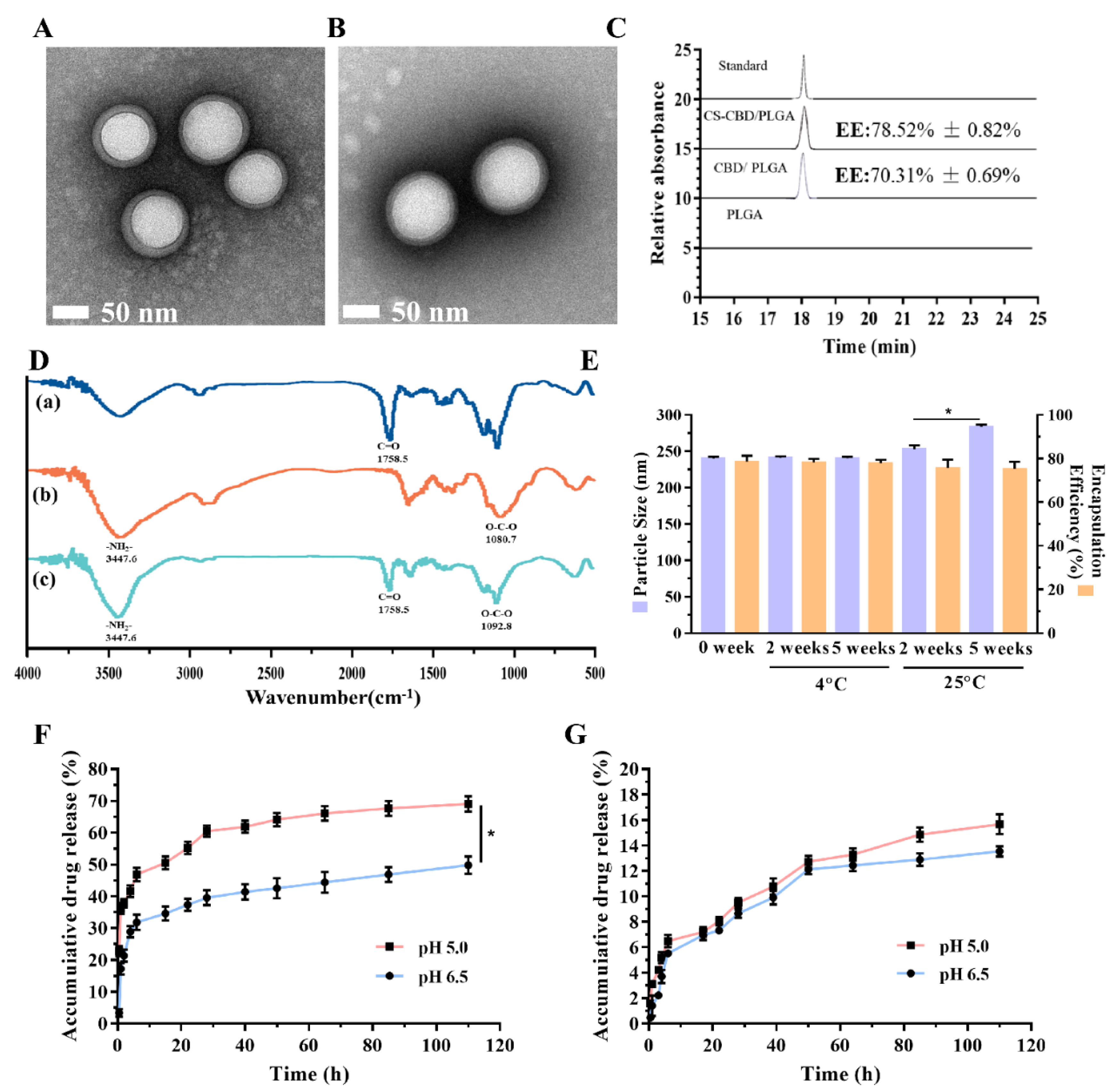 Pharmaceutics 13 01415 g005