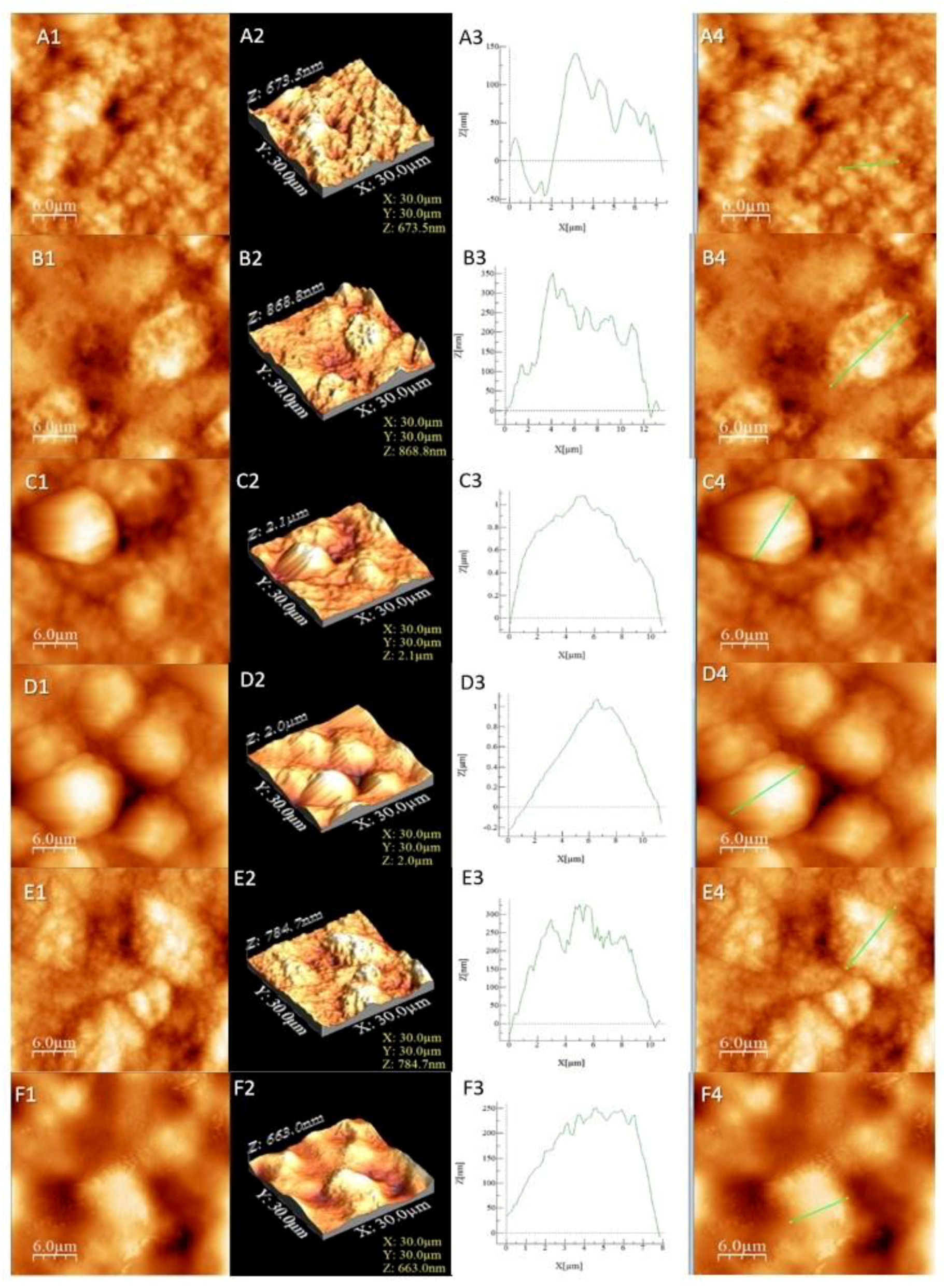 Pharmaceutics 13 01418 g002