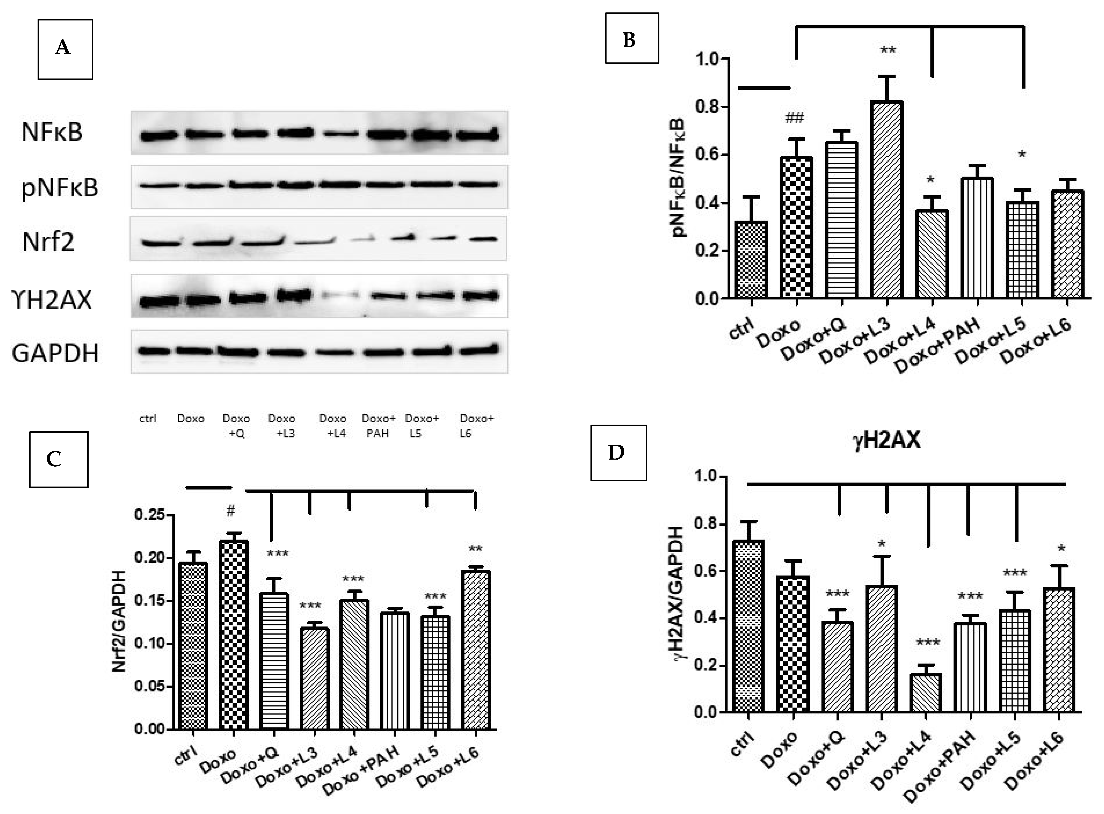 Pharmaceutics 13 01418 g007