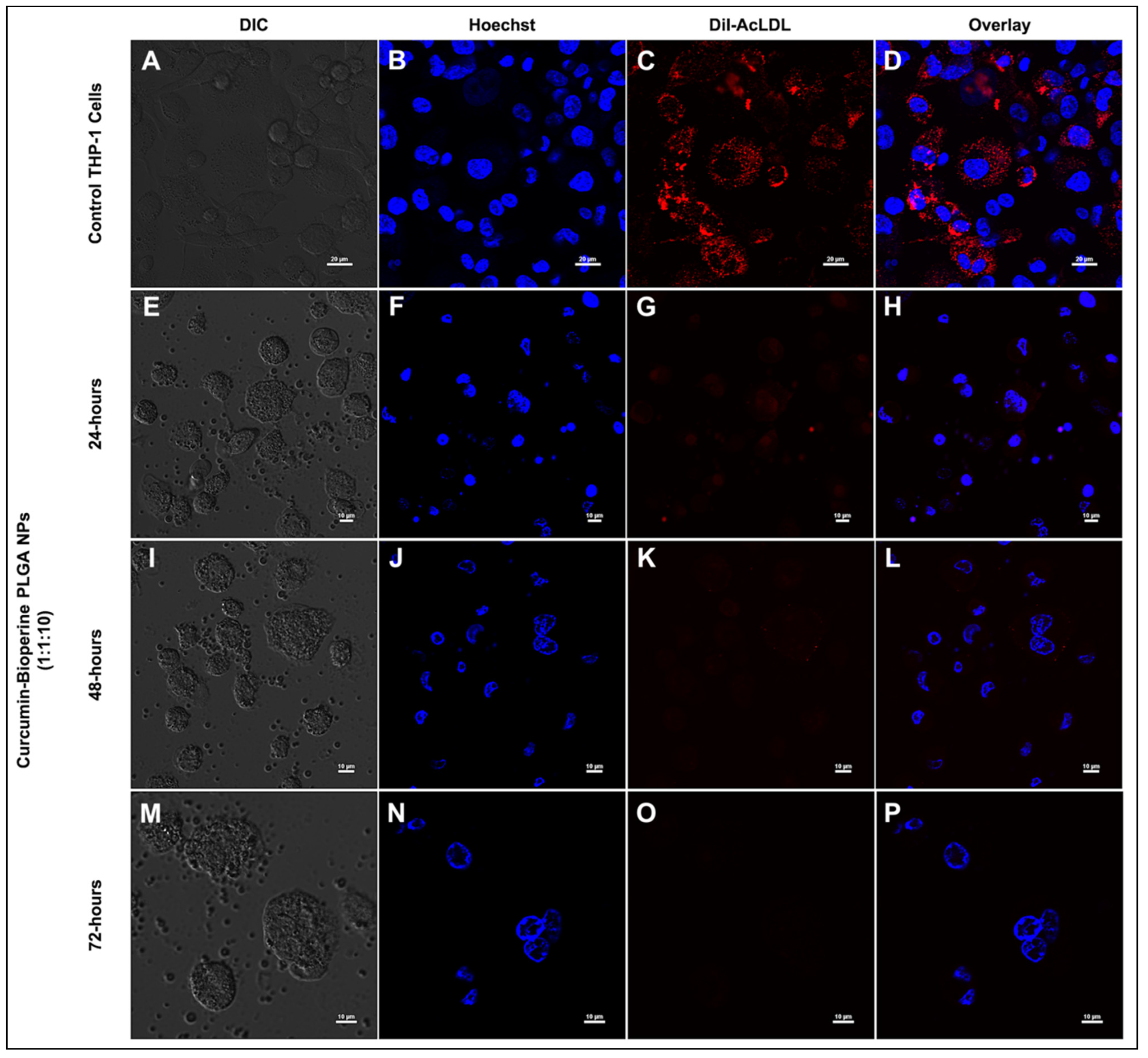 Pharmaceutics 13 01420 g007